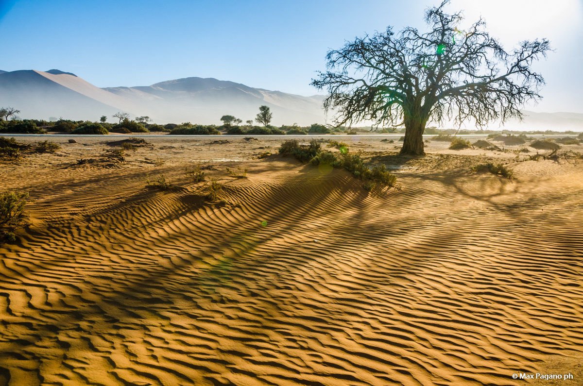 Namib Desert