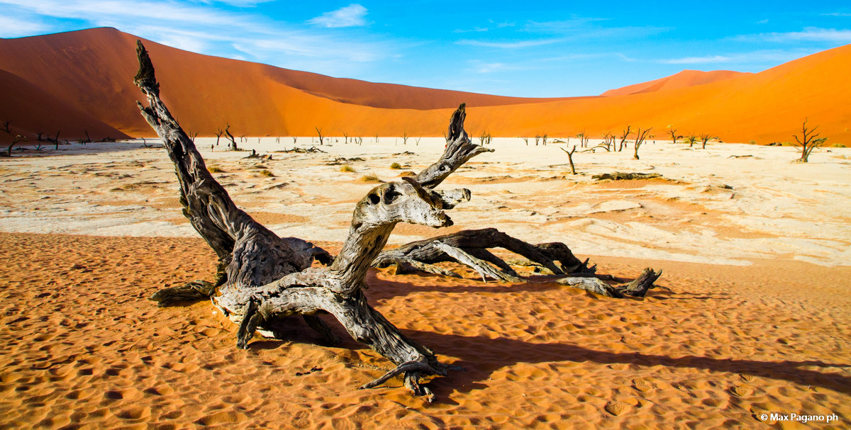 Namib desert, Deadvlei