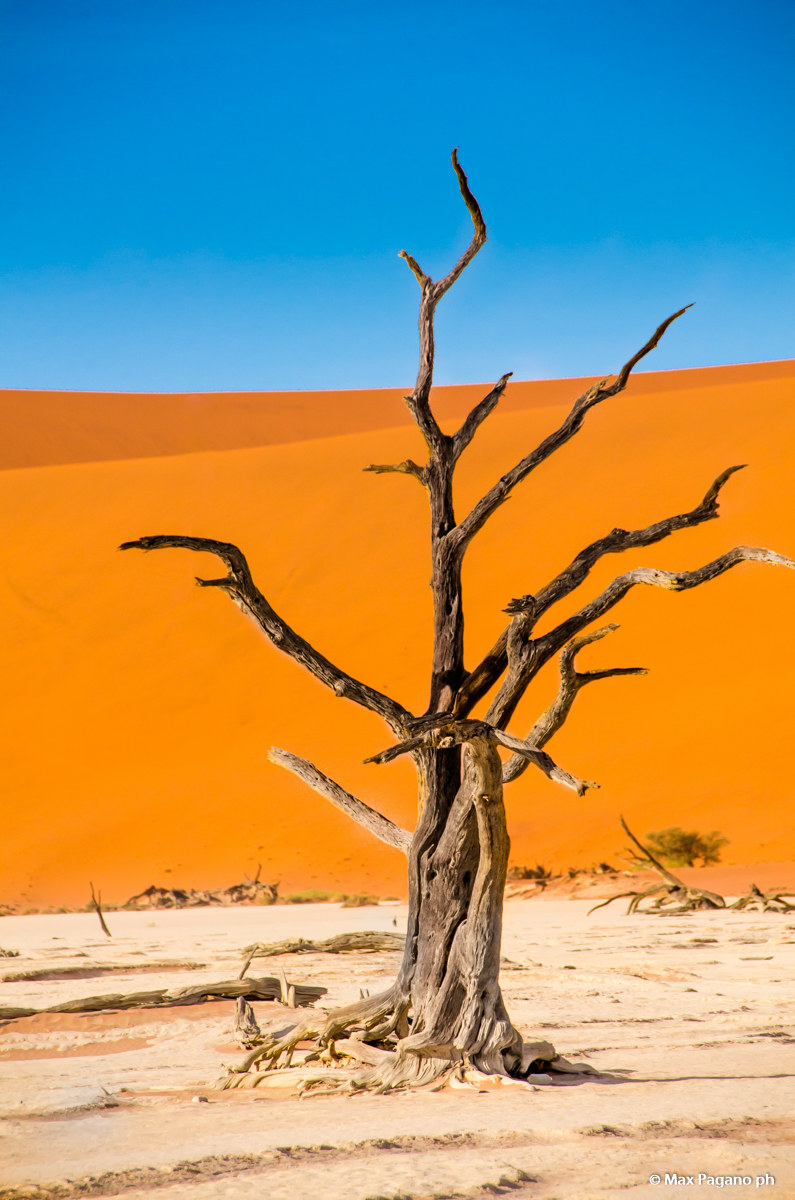 Namib desert, Deadvlei