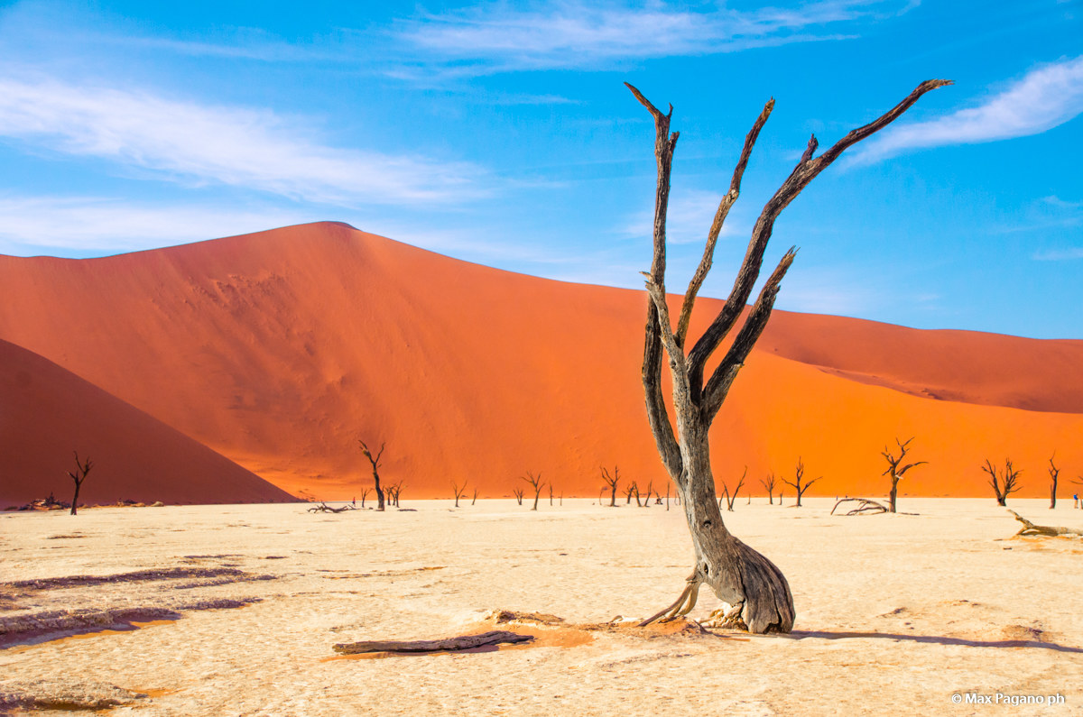 Namib desert, Deadvlei