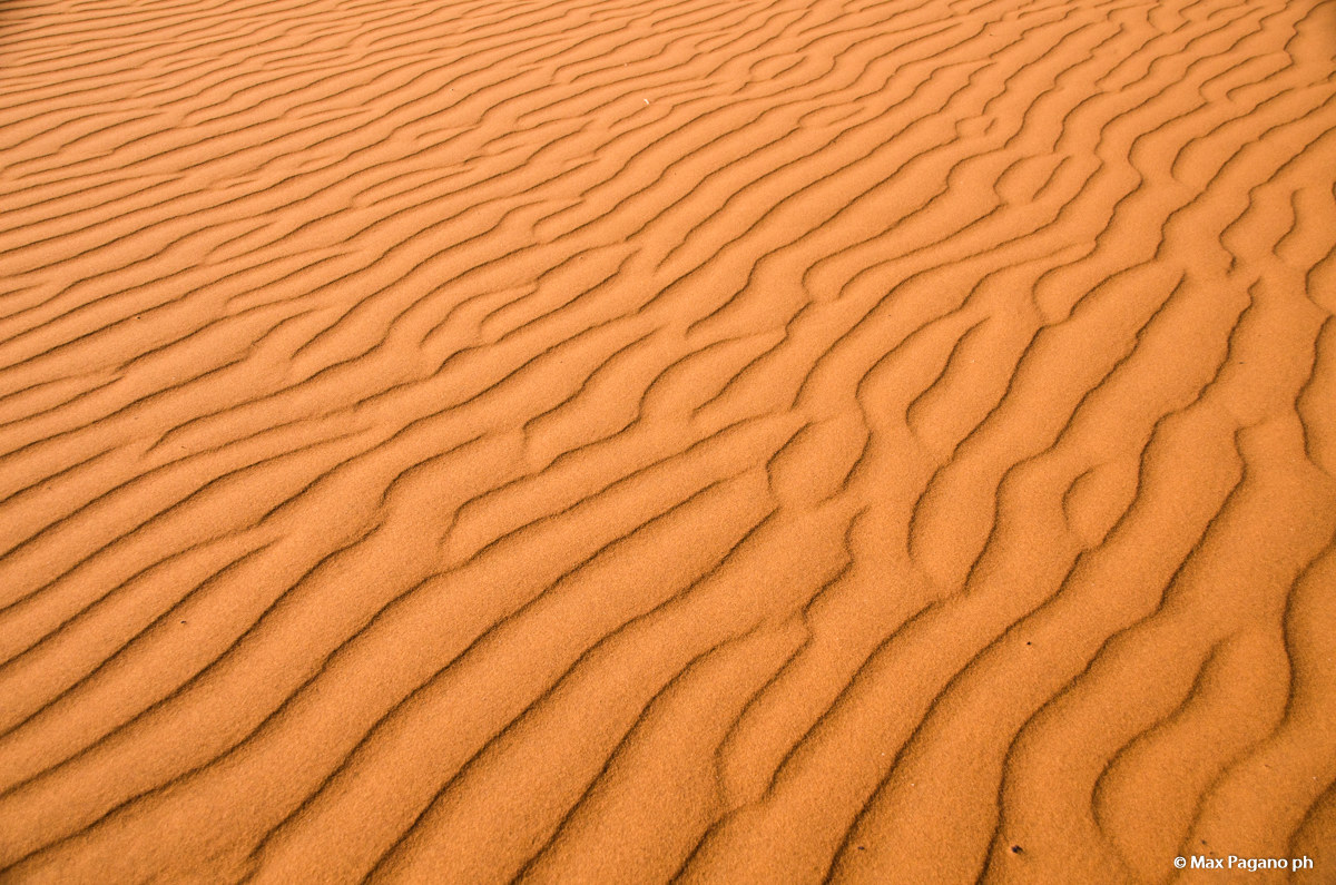 Namib Desert