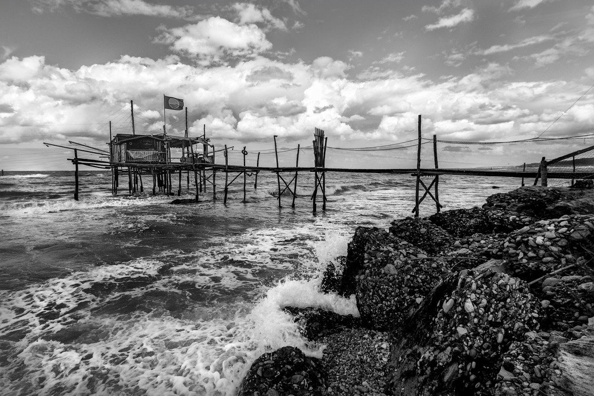 ... Screams and whitens on Tue