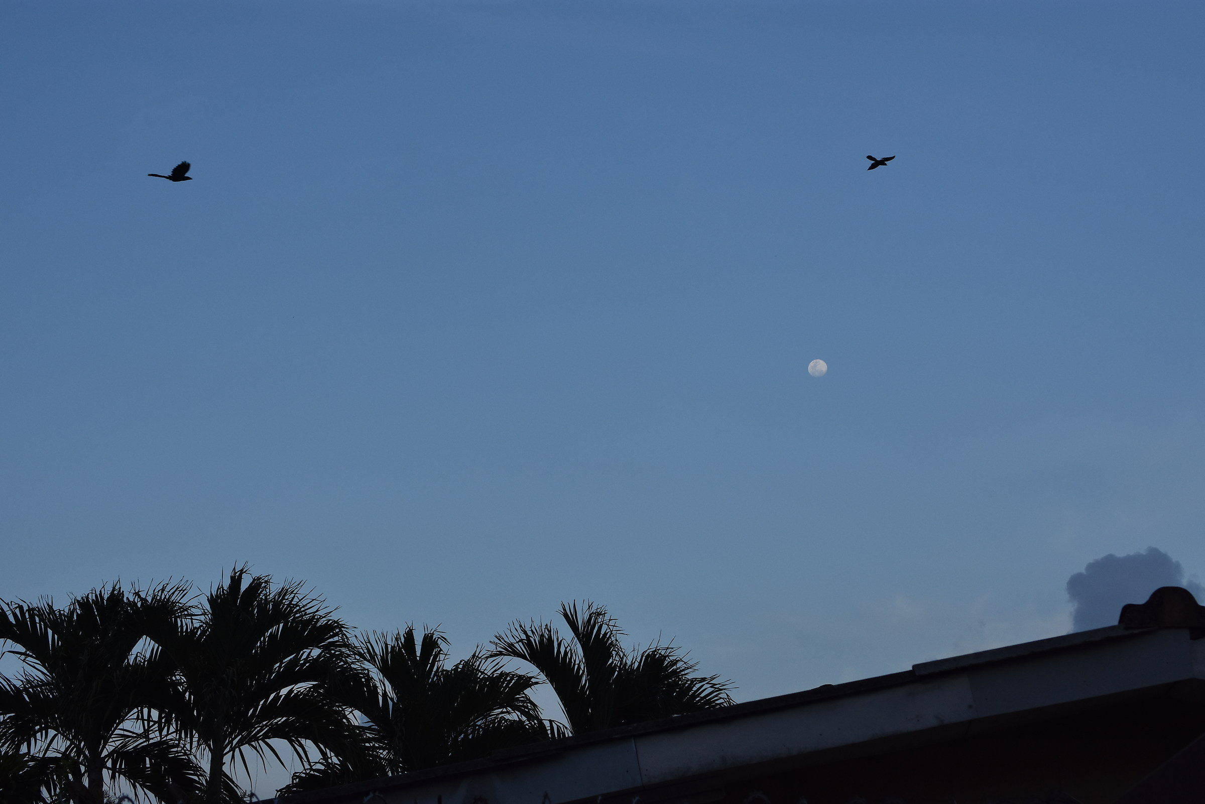Puesta del sol con la luna de fondo