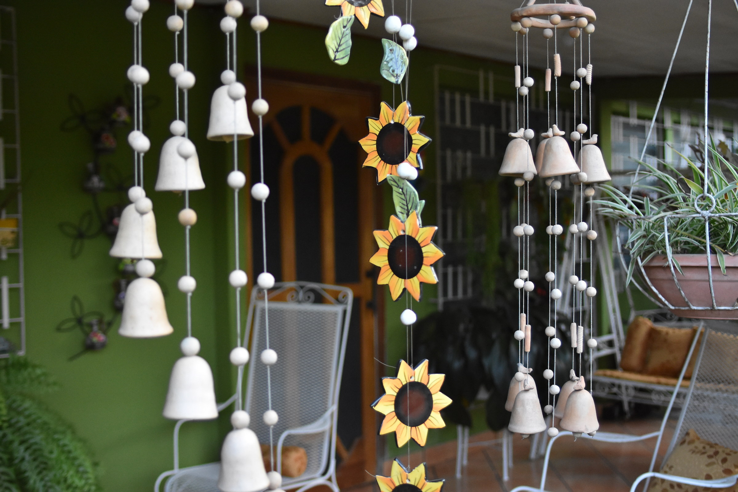 Girasoles colgantes en atardecer