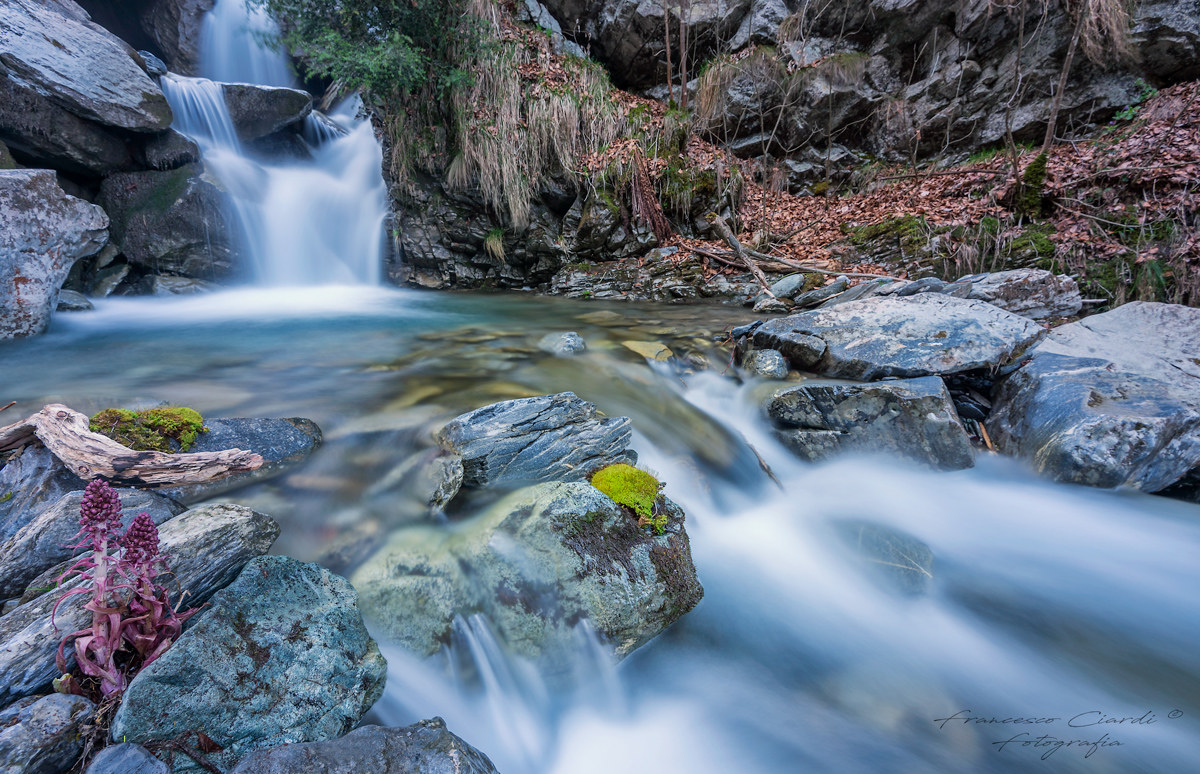 La cascata nel bosco