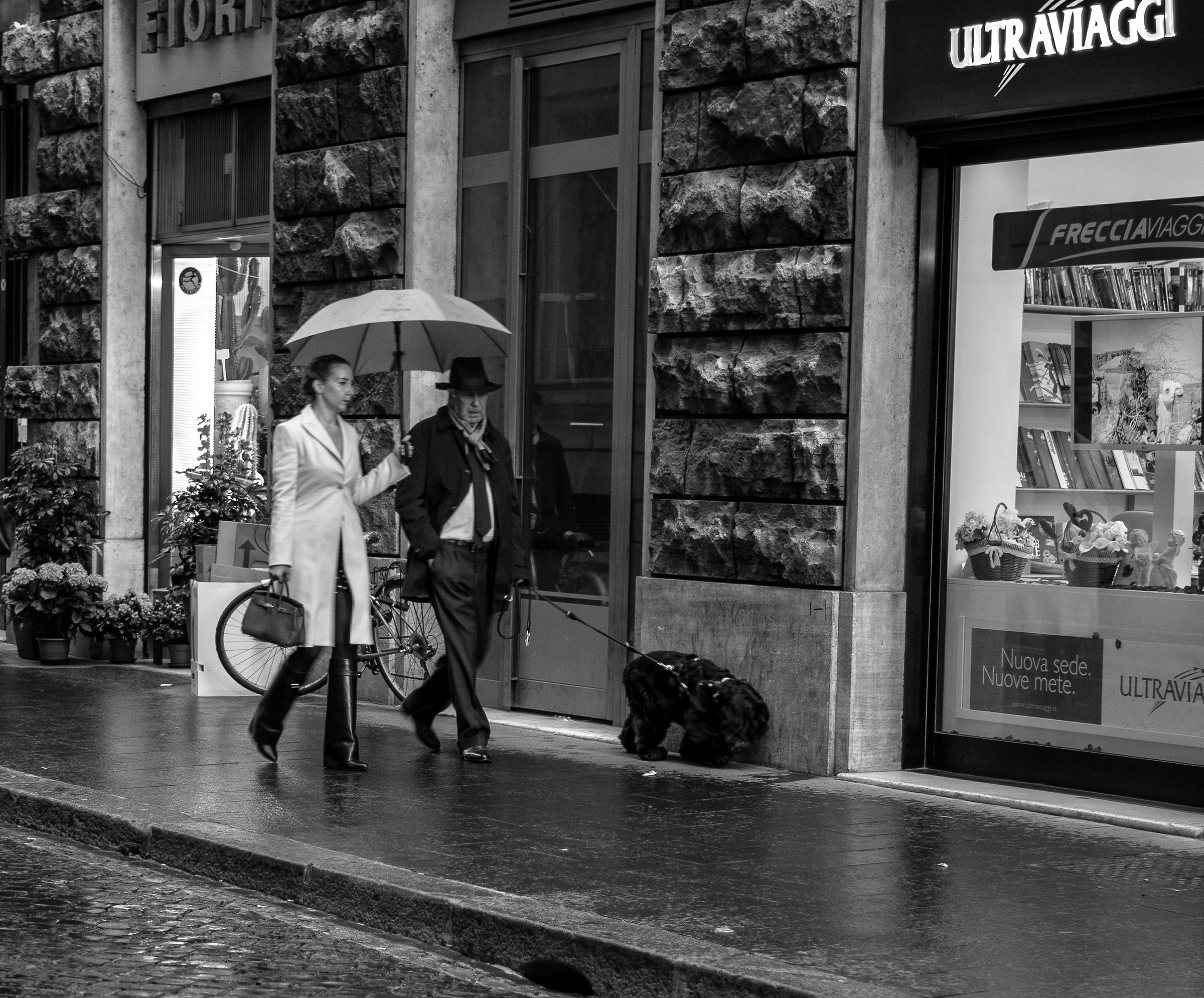 Not properly a gentleman