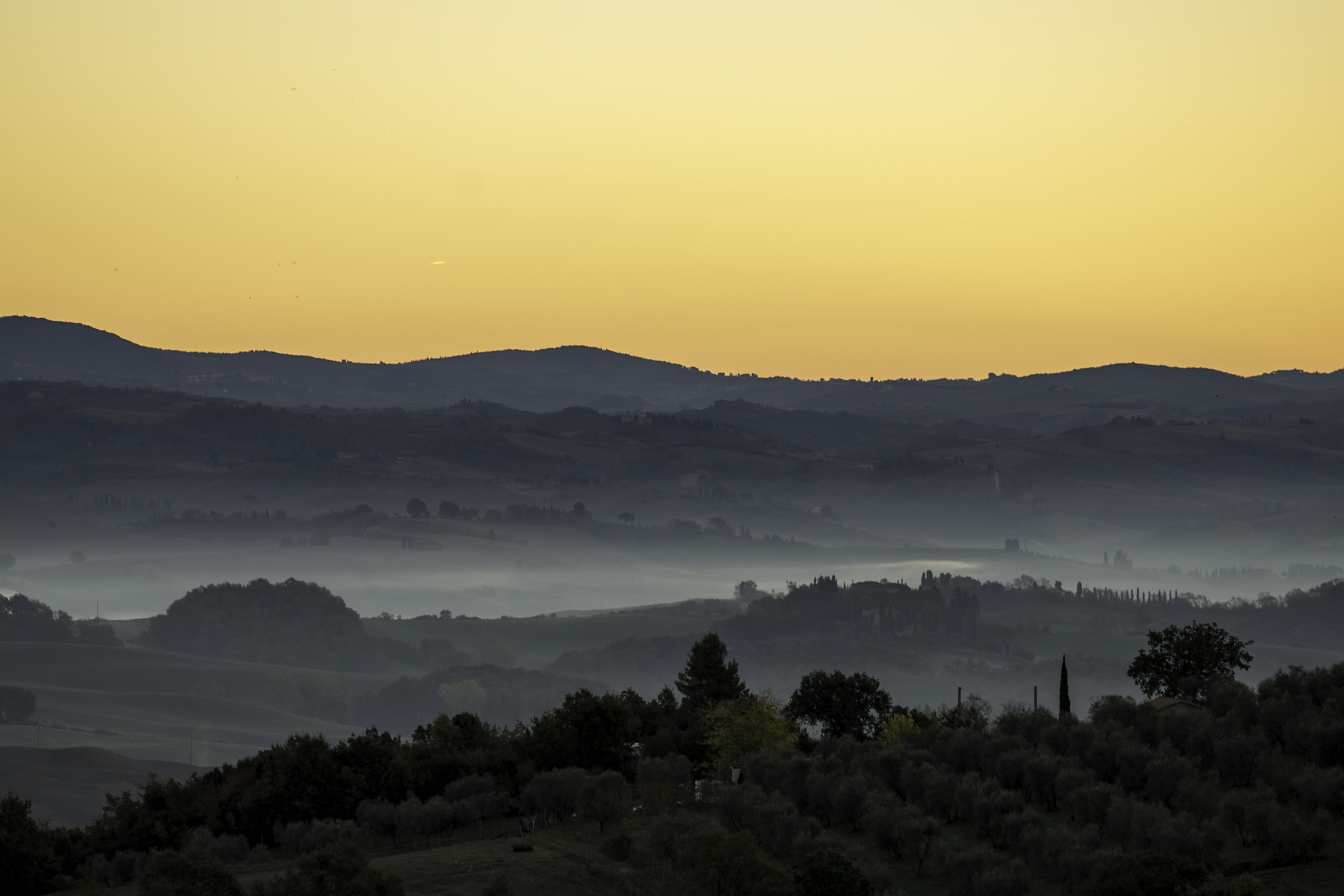Brume alle Crete senesi 2