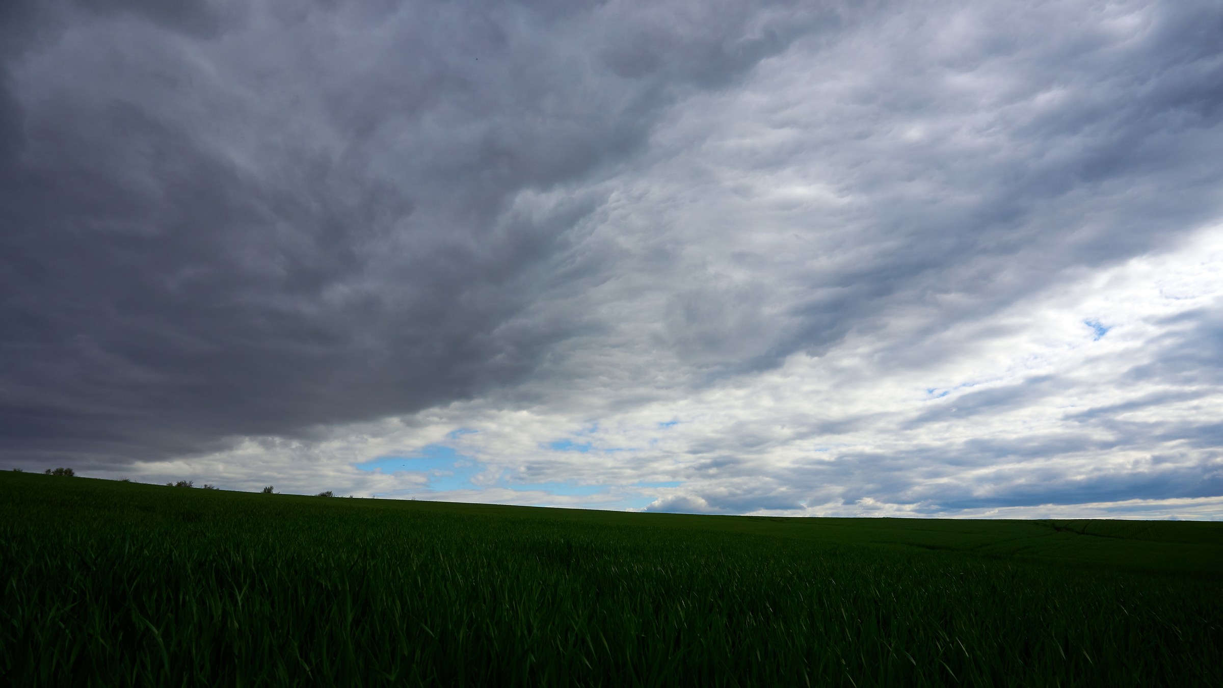 In asteptarea ploii ..