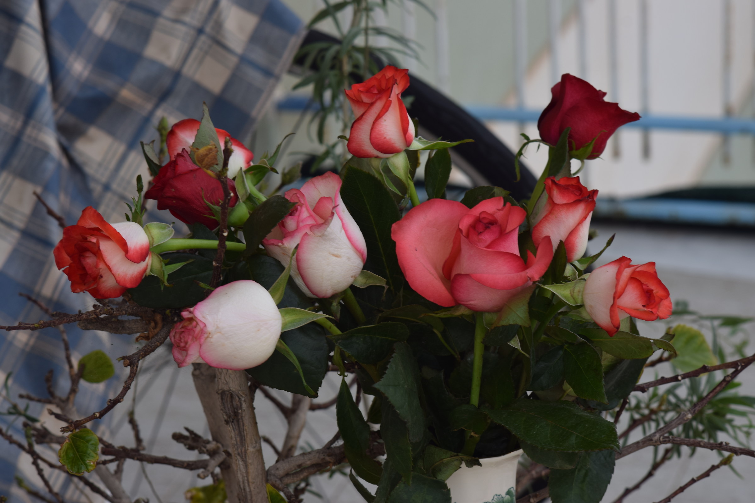 That little bunch of roses!