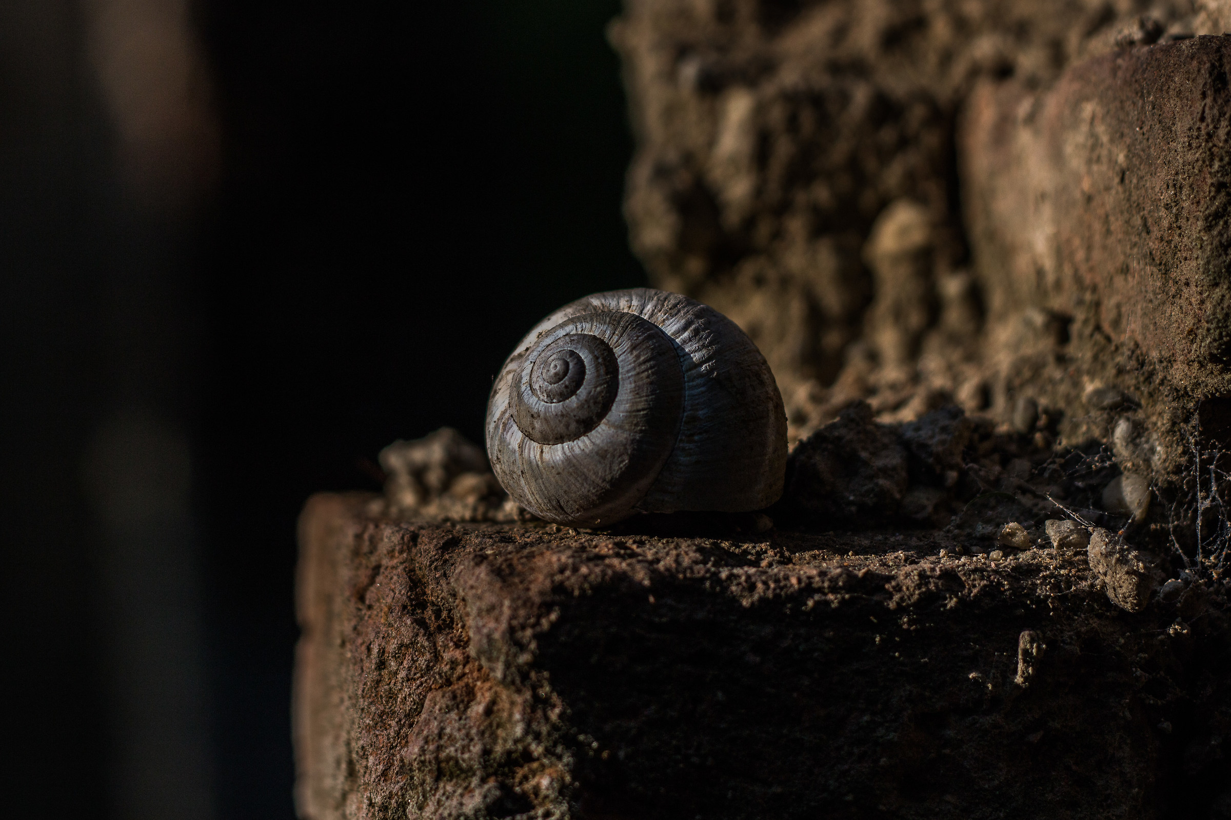 due case abbandonate!