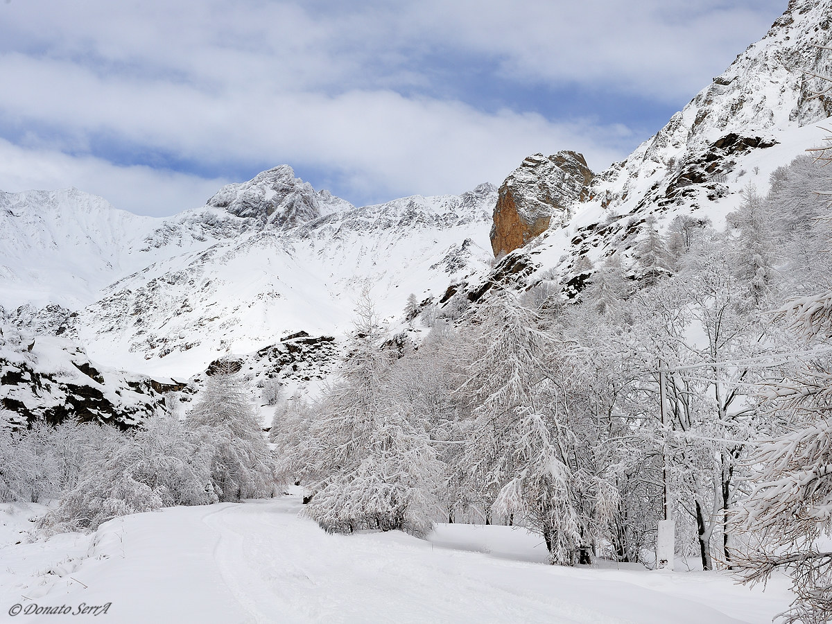 Pelvo di Ciabrera e Rocca Senghi