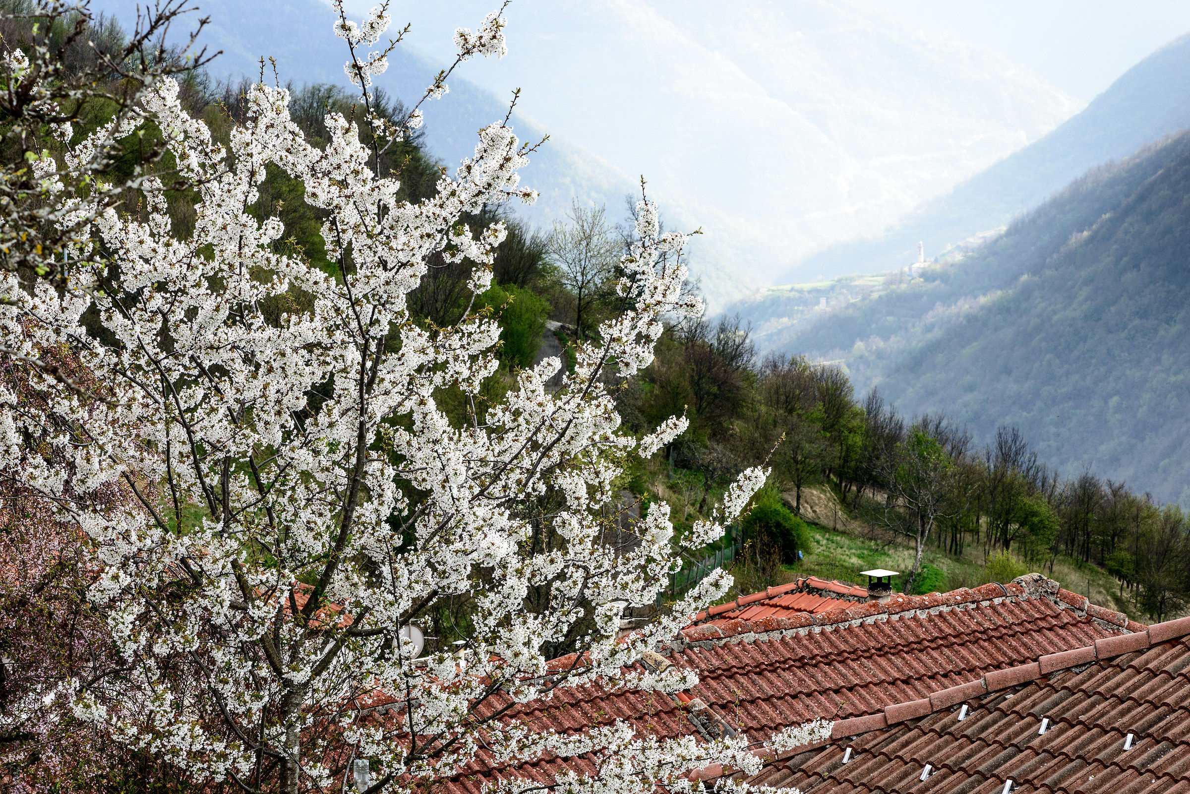 Primavera nell'Alto Appennino