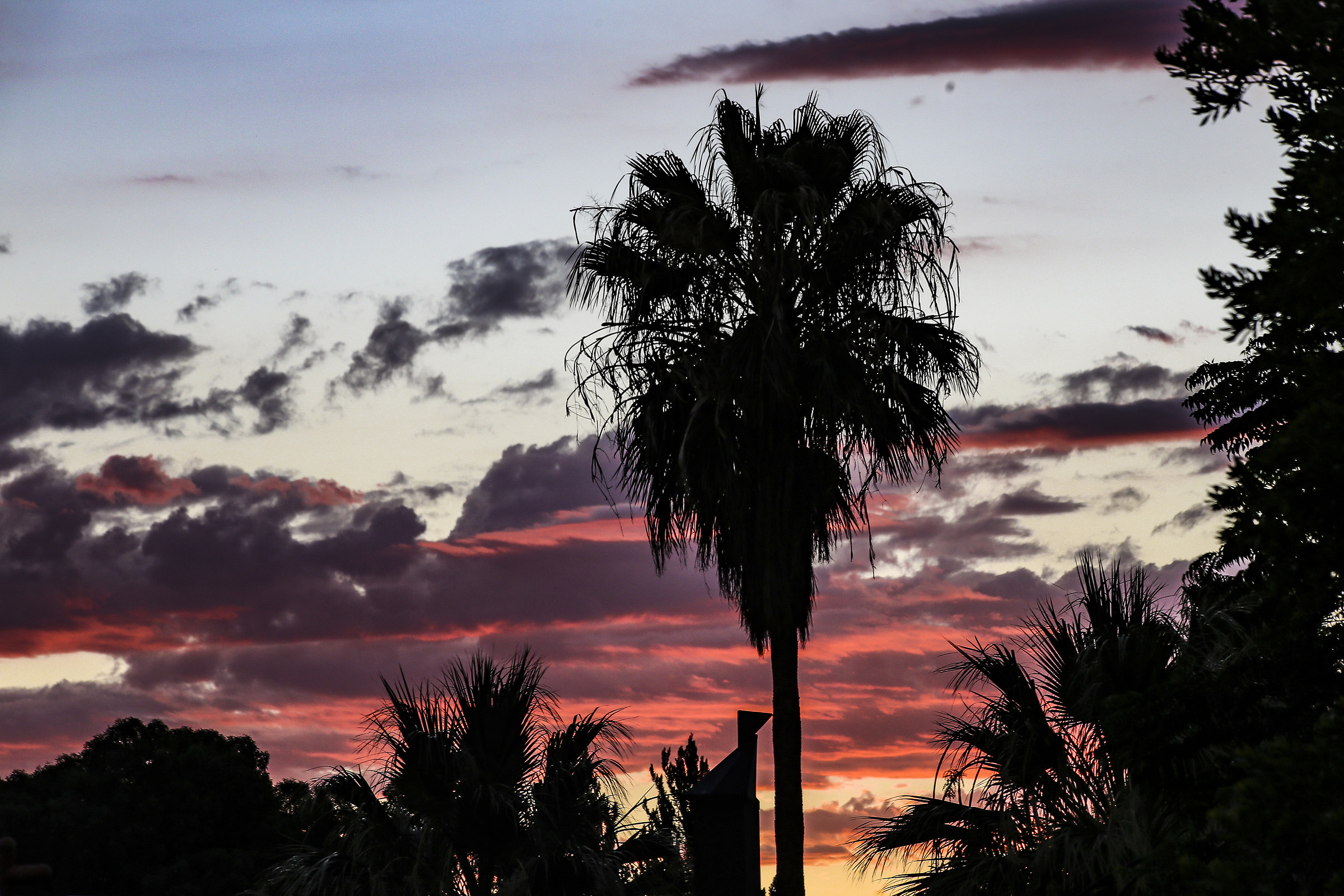 Sunshine in Namibia 3