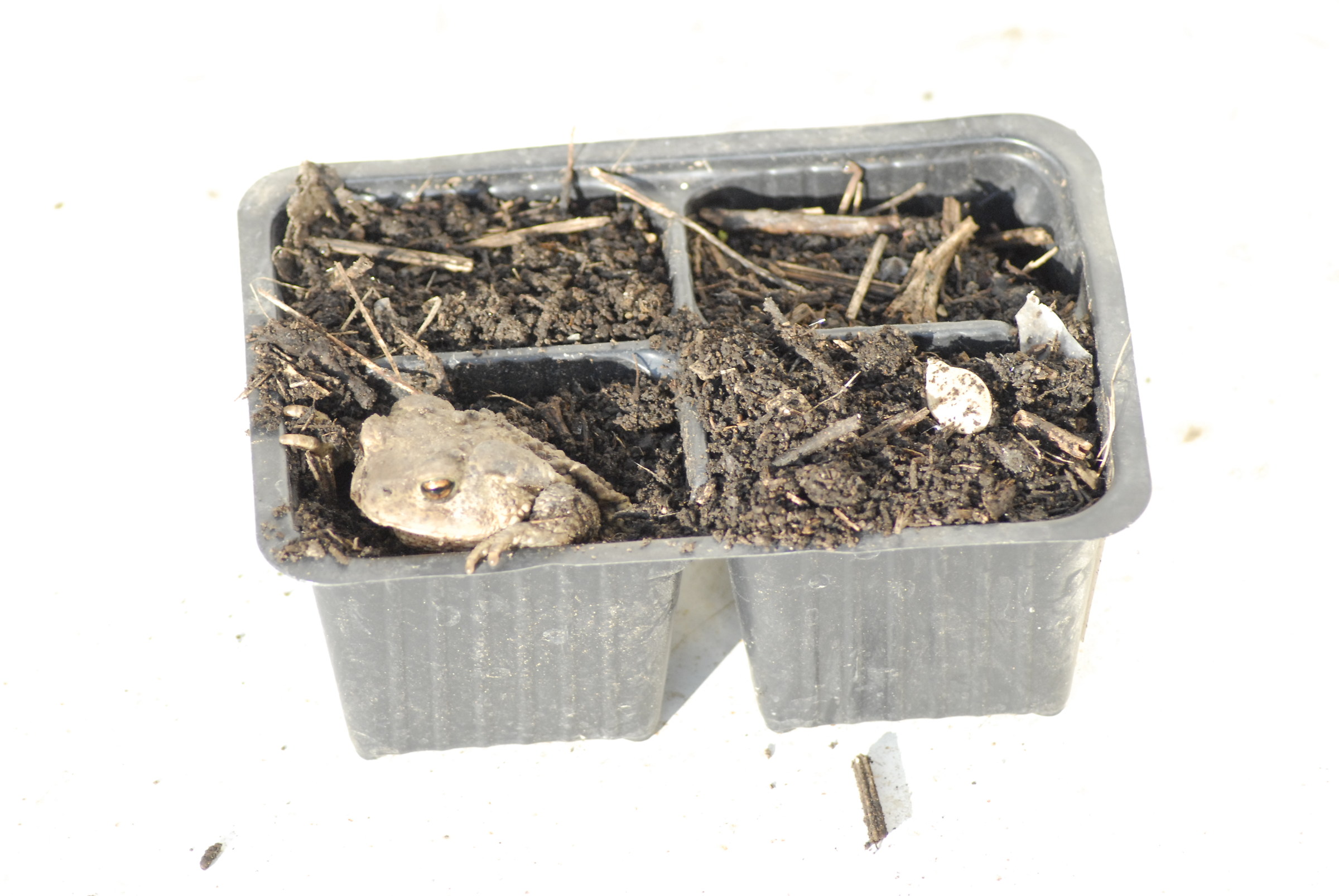 who is it that bothers me?