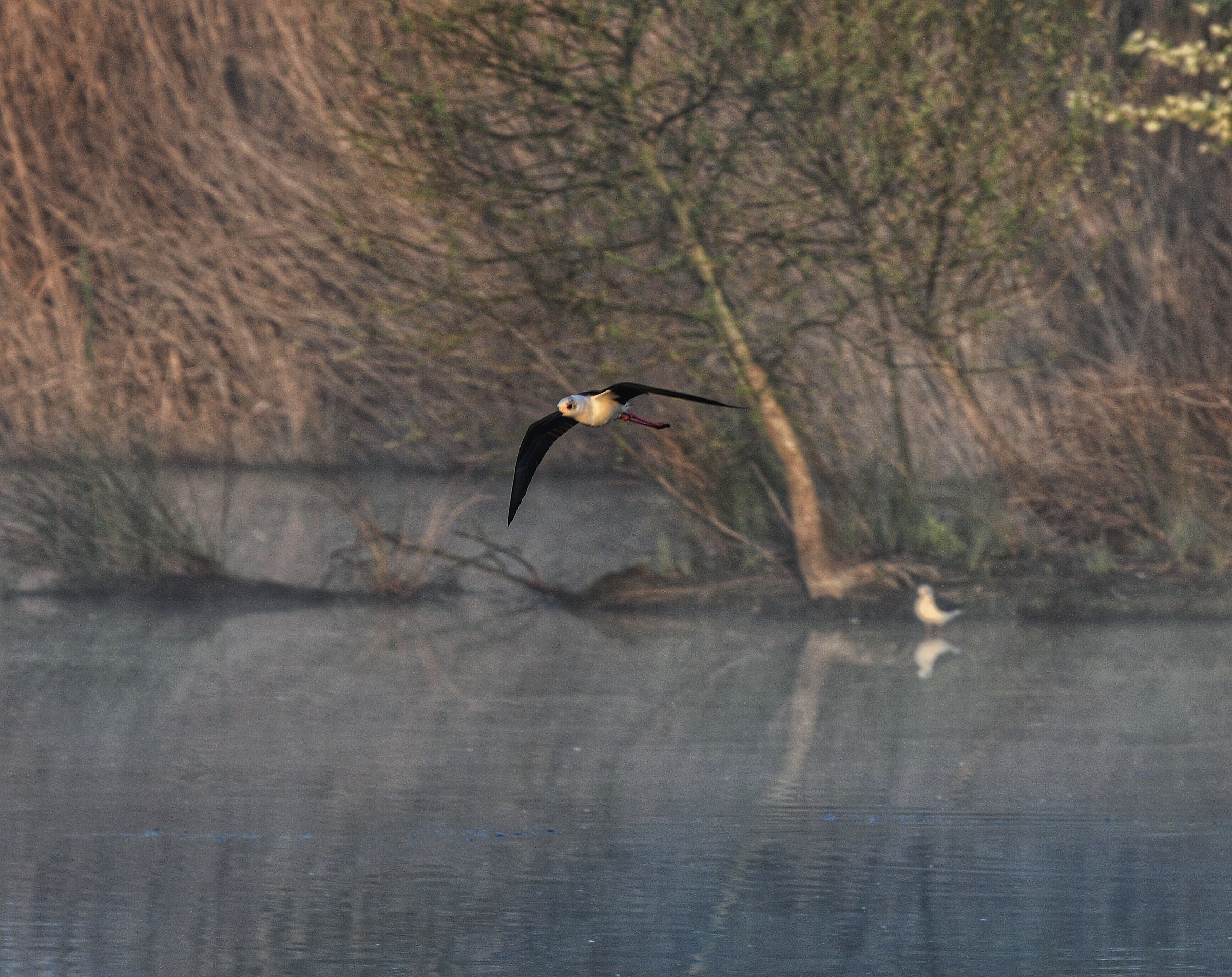 Arrriiivvvooooo !!!!