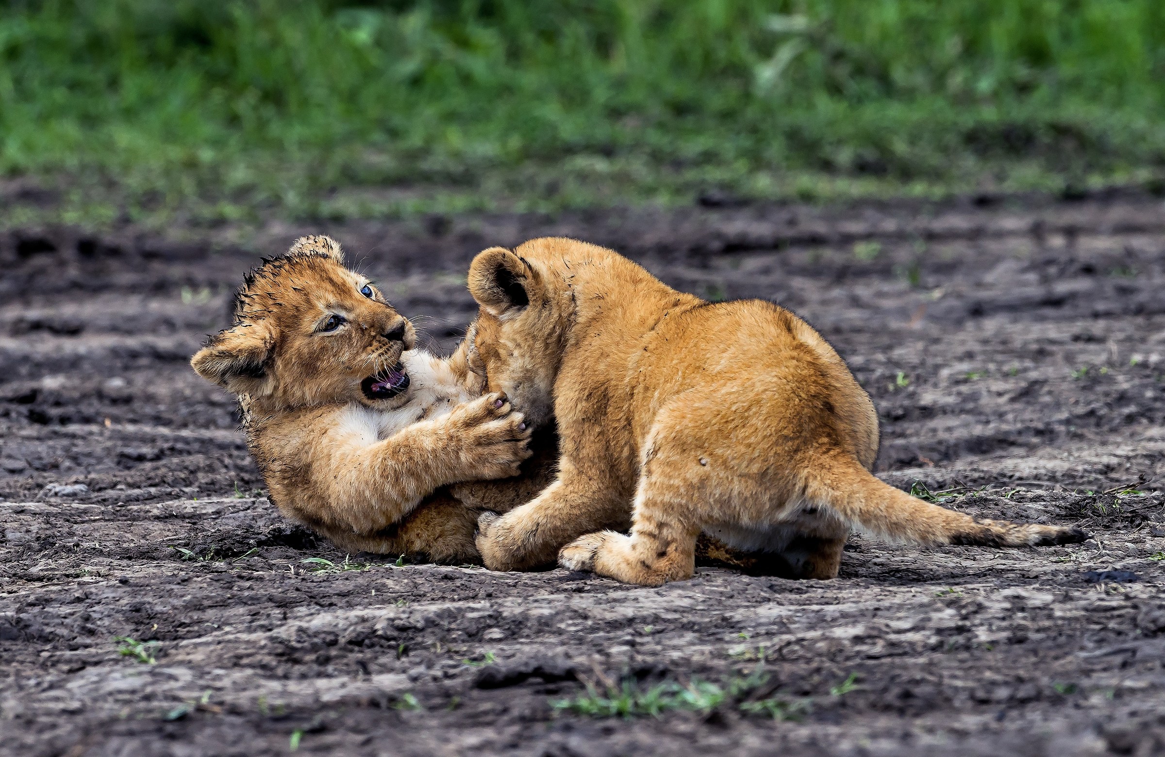 Tanzania 2017 - Giochi