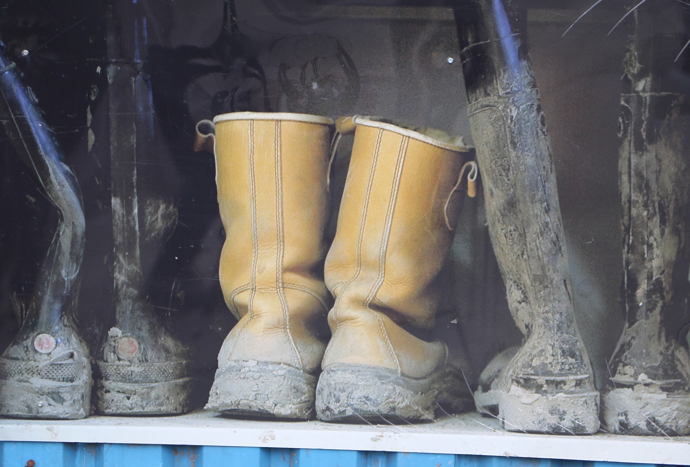 the charm of the windows - one -