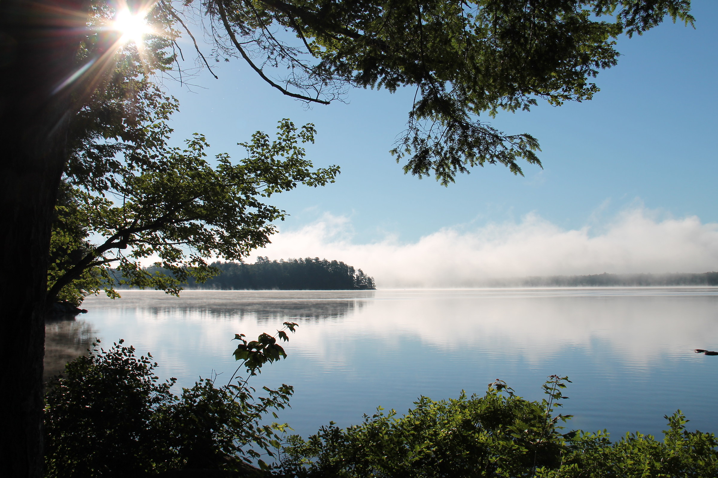 Nebbia al parco statale Moffit Beach