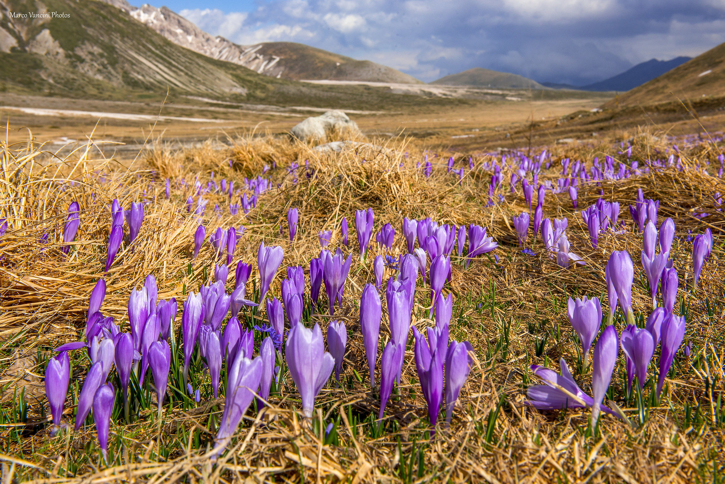L'arrivo della primavera
