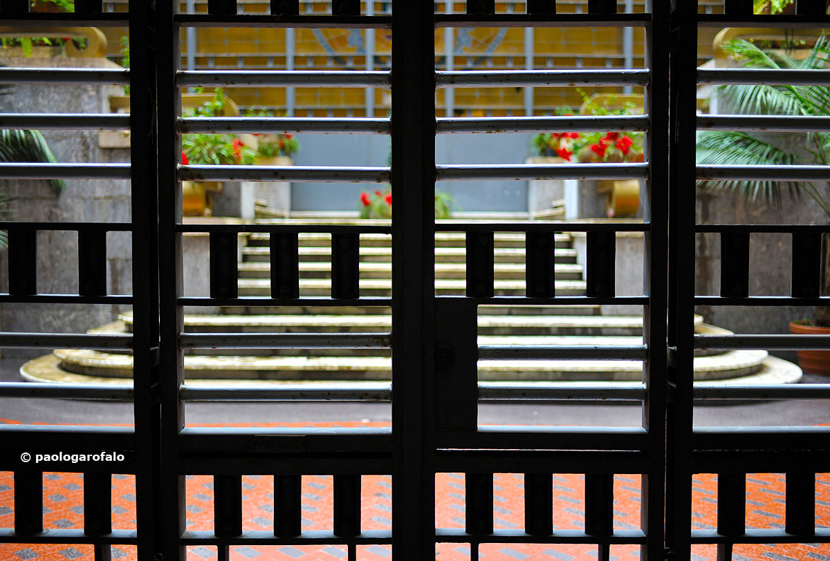 The forbidden garden