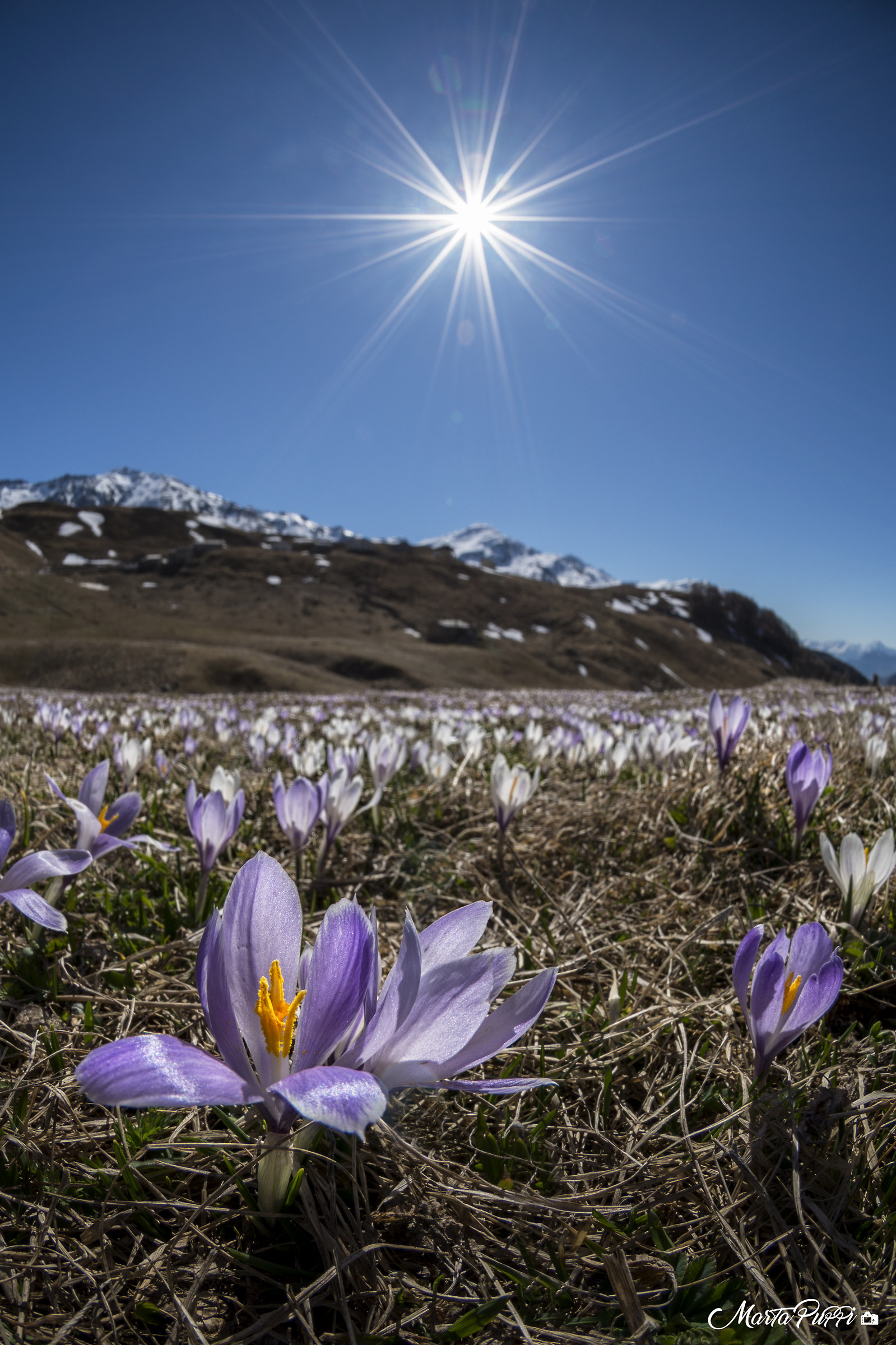 Spring at high altitude
