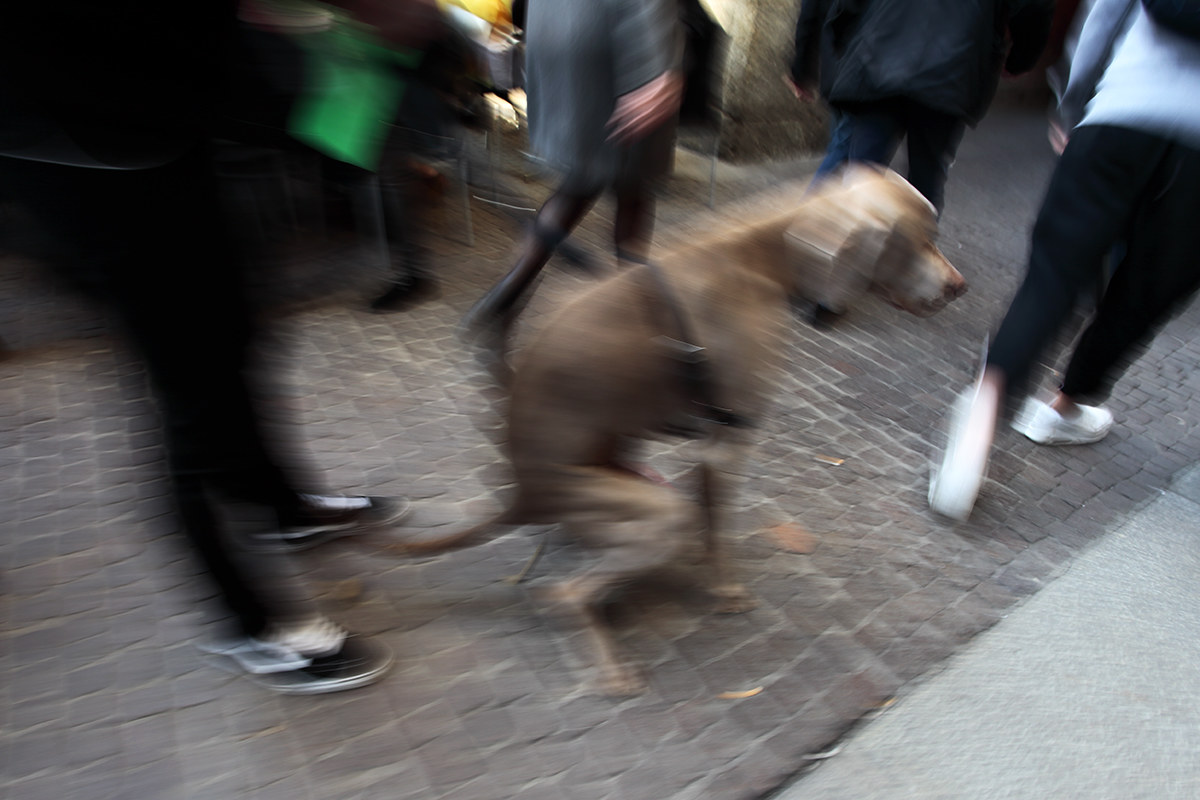 In un battito di ciglia - Incidente di percorso
