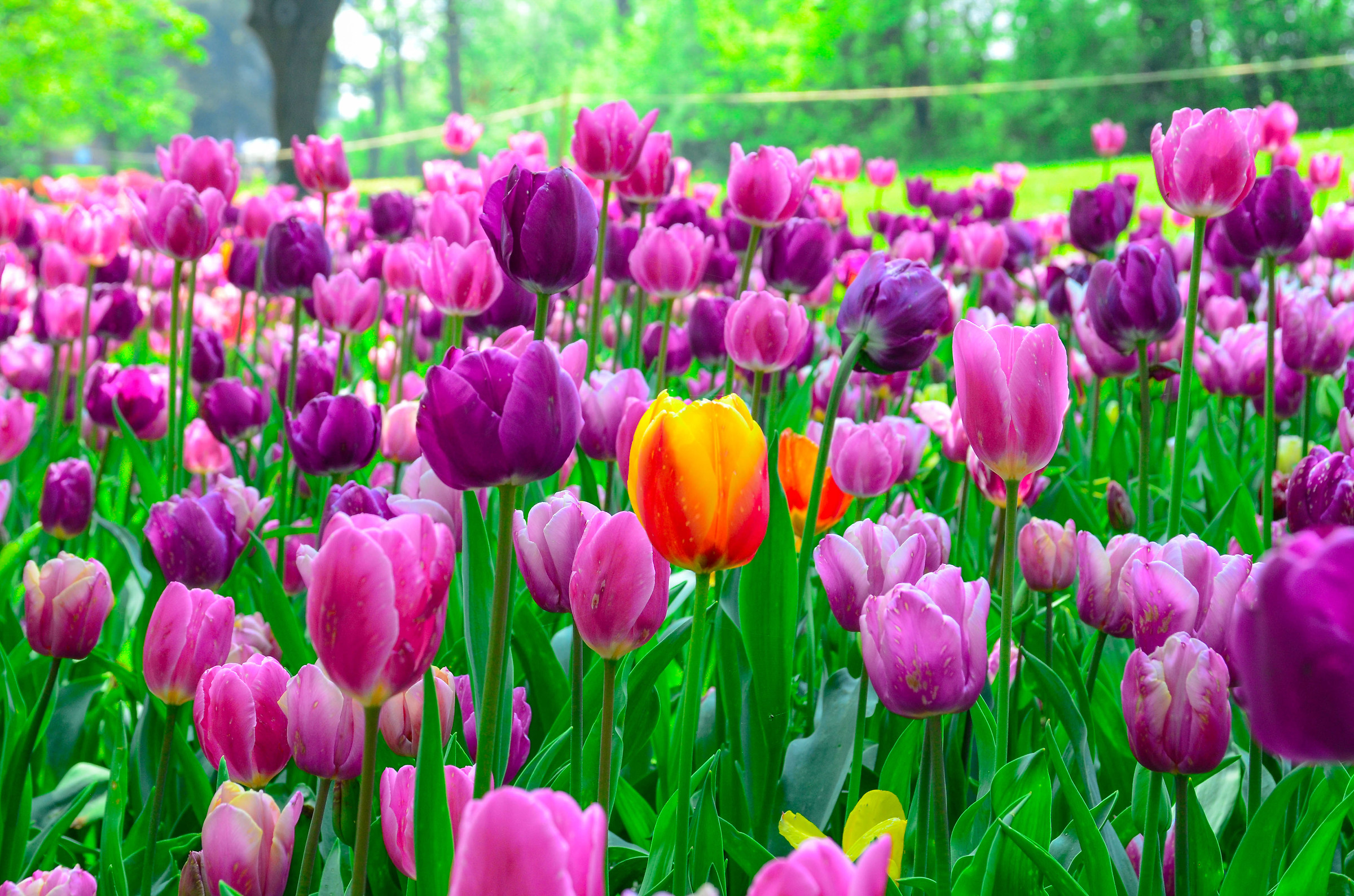 Be the detail which makes all the difference