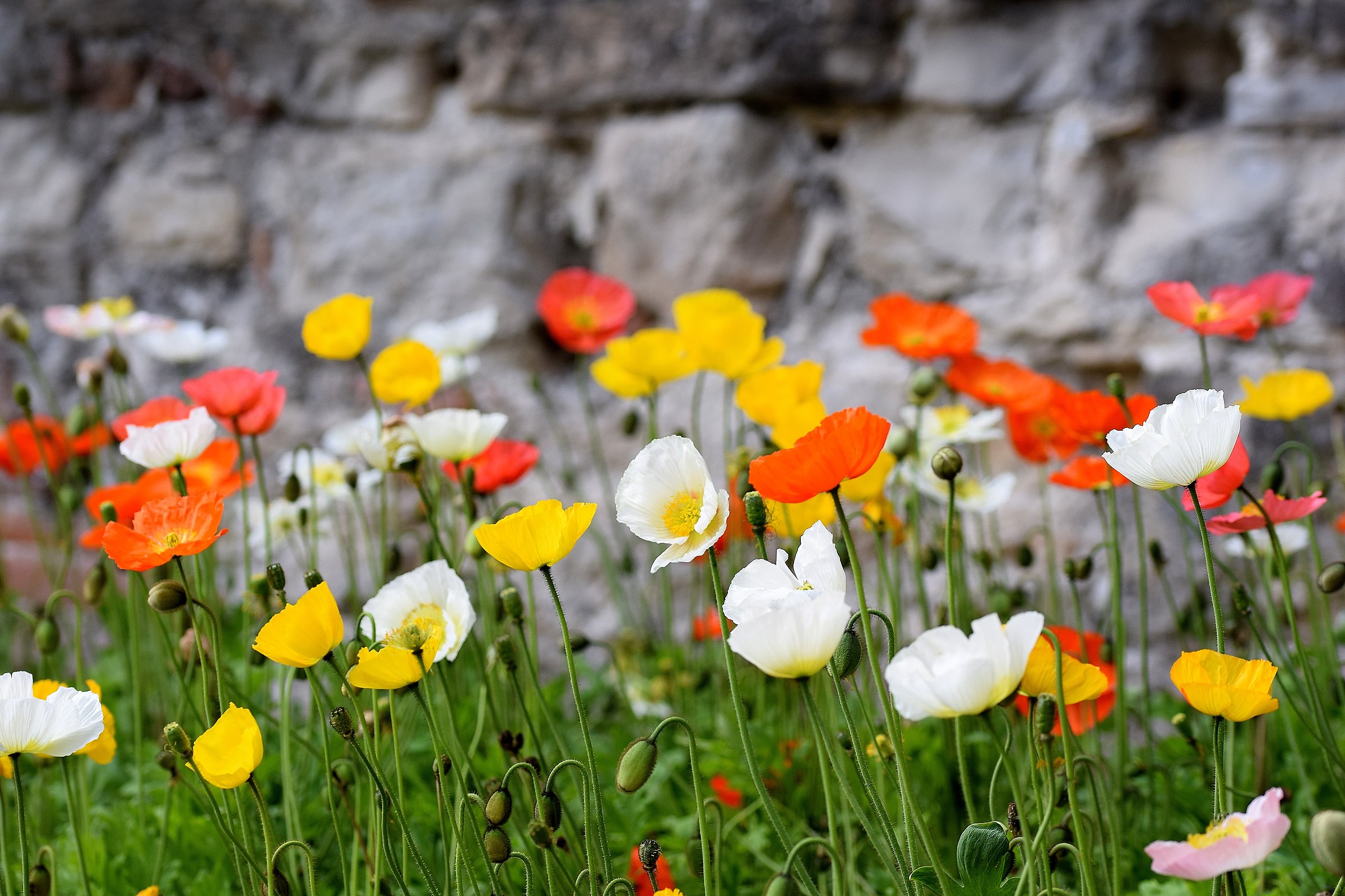 una tavolozza colorata