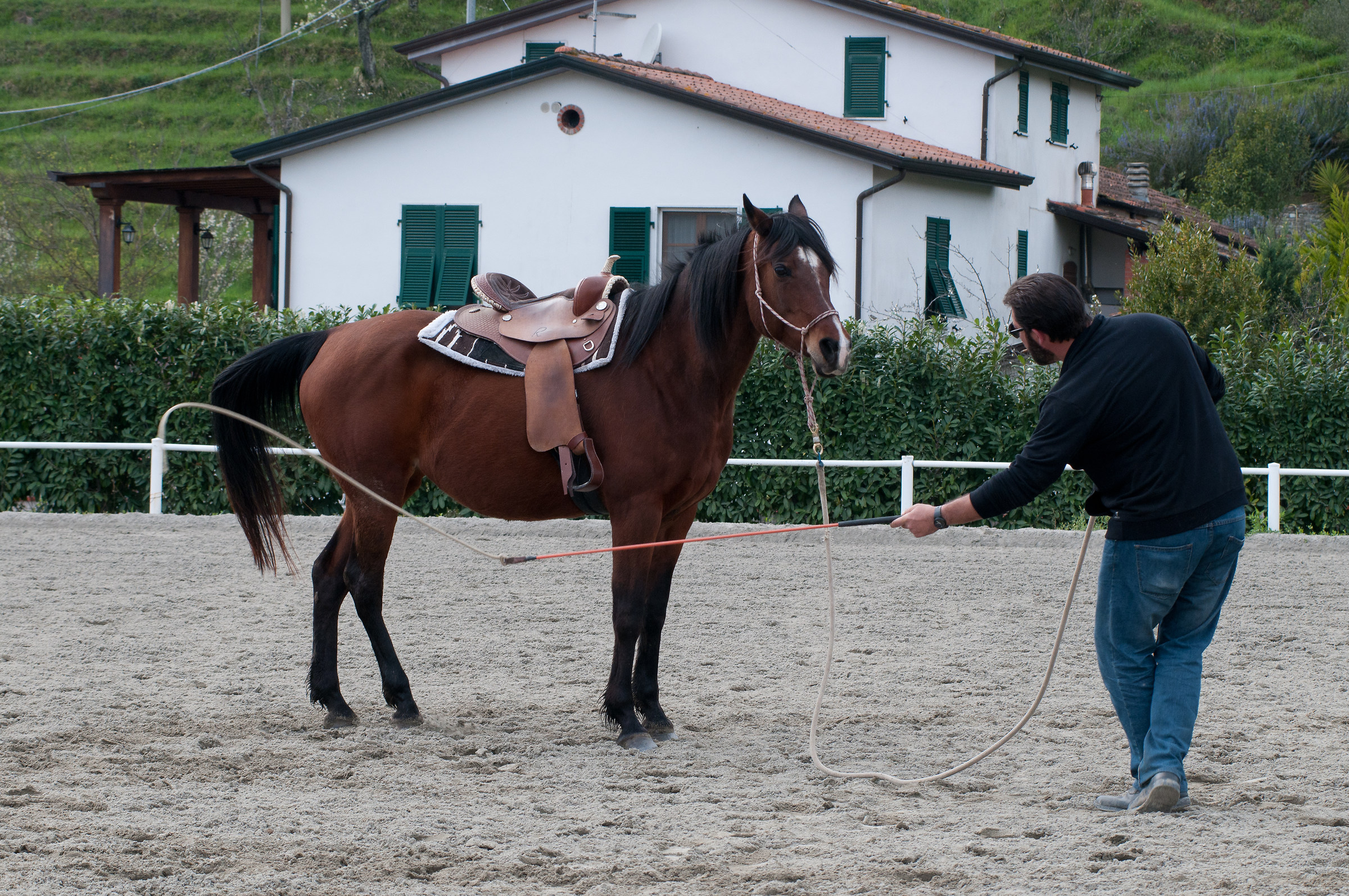 Director of ochestra