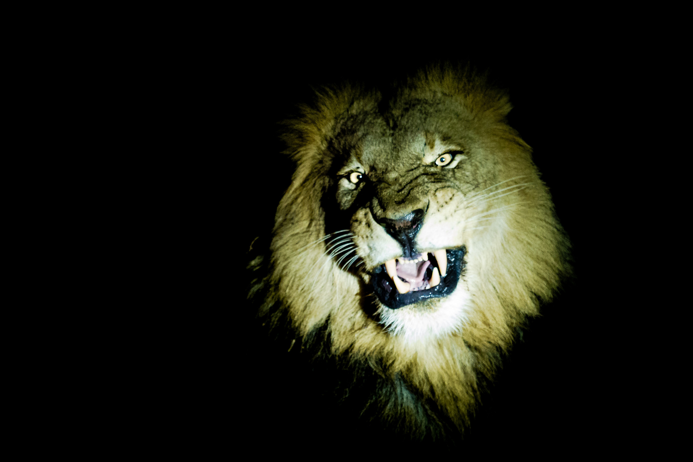 Do not make me angry