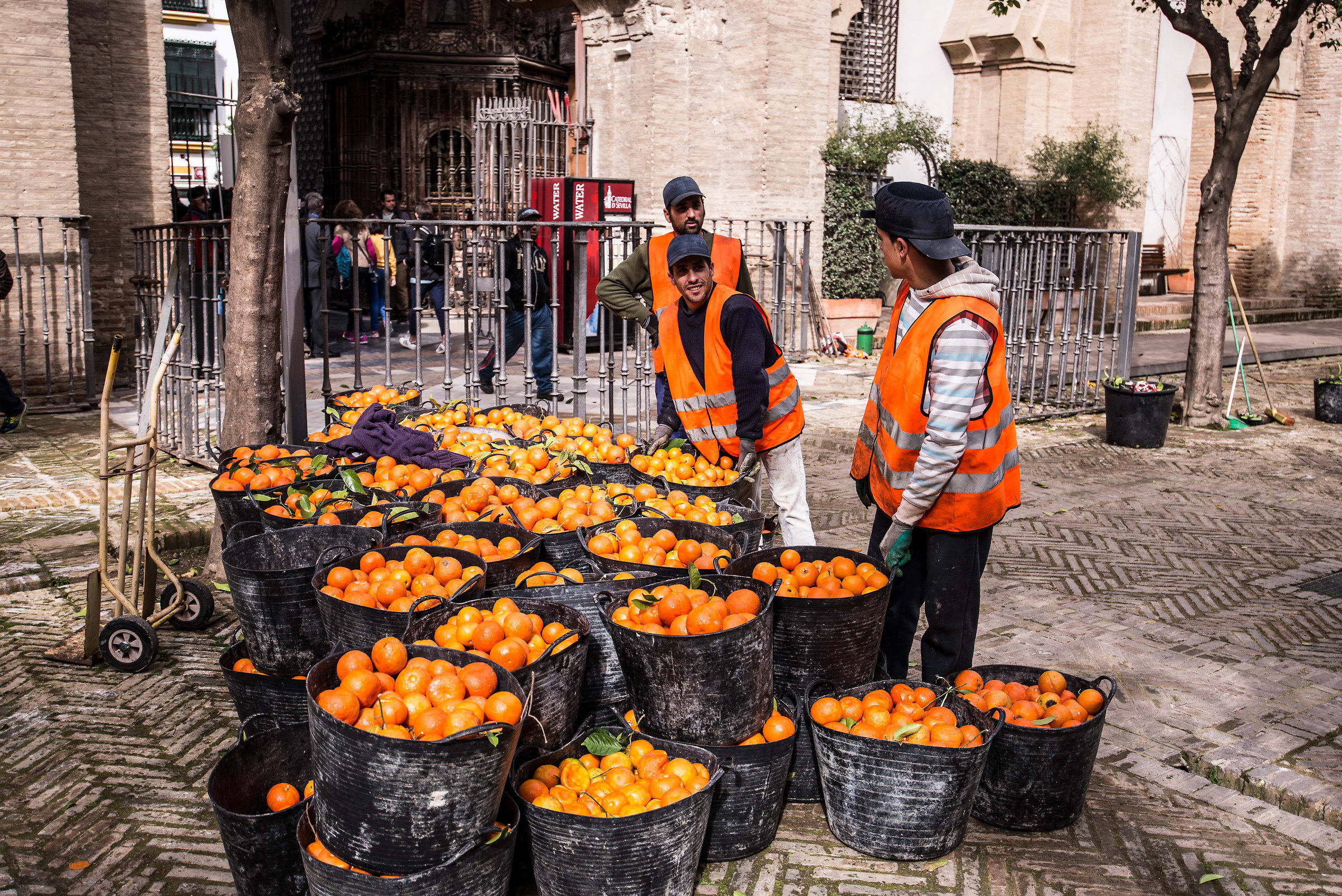Oranges in the cathedral