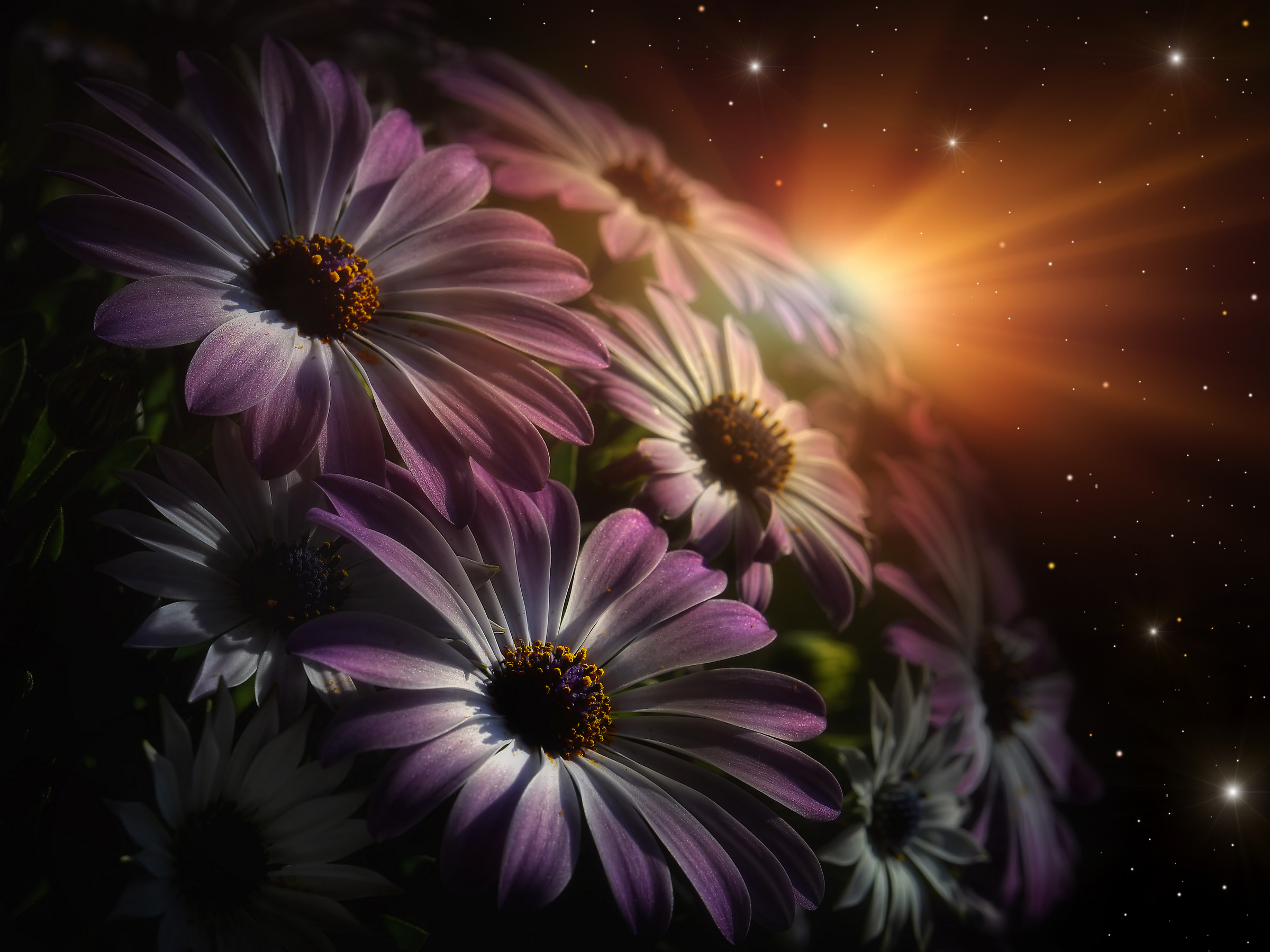 Alba sul pianeta Flora