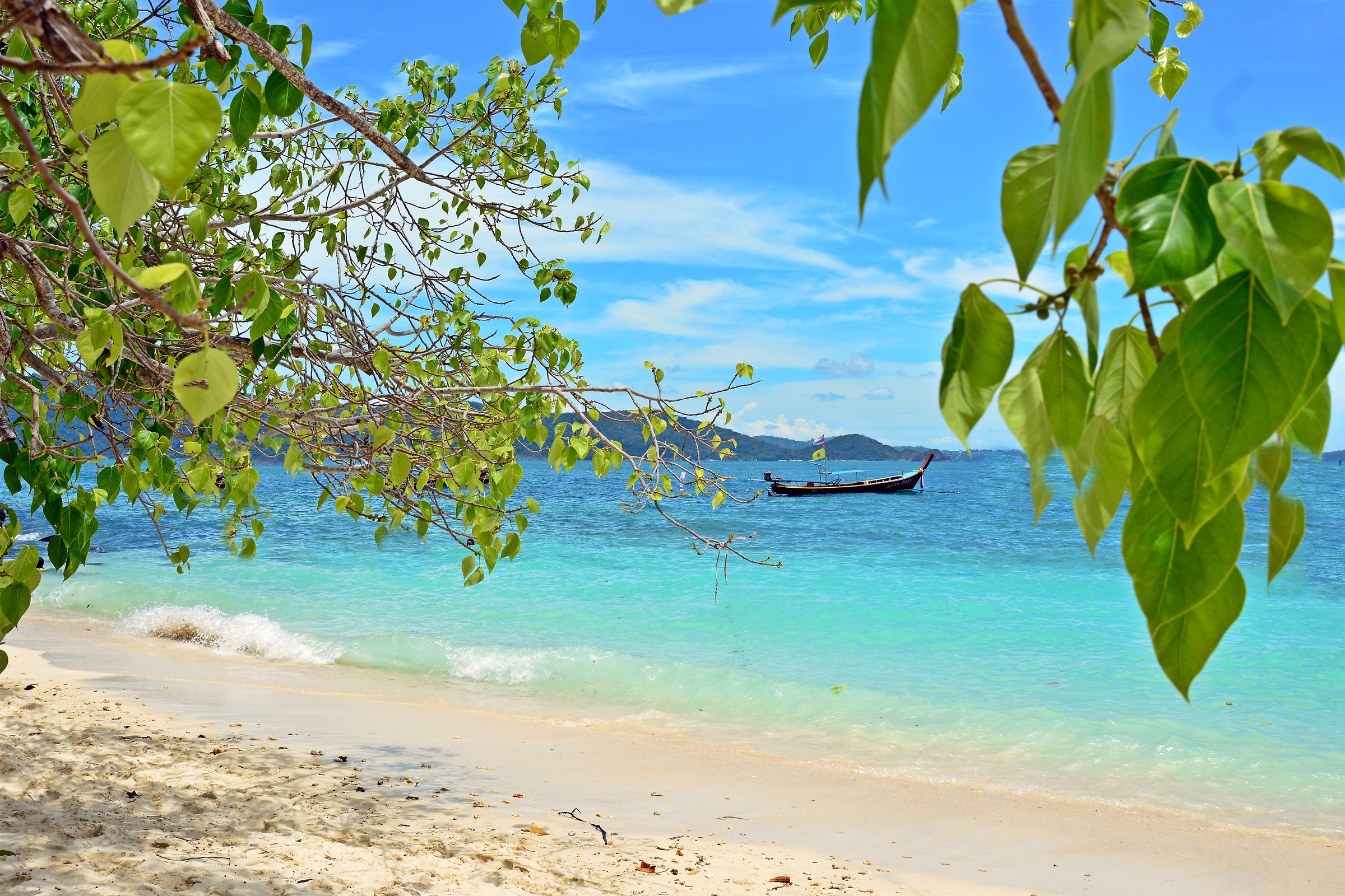 ... behind a curtain of green ...