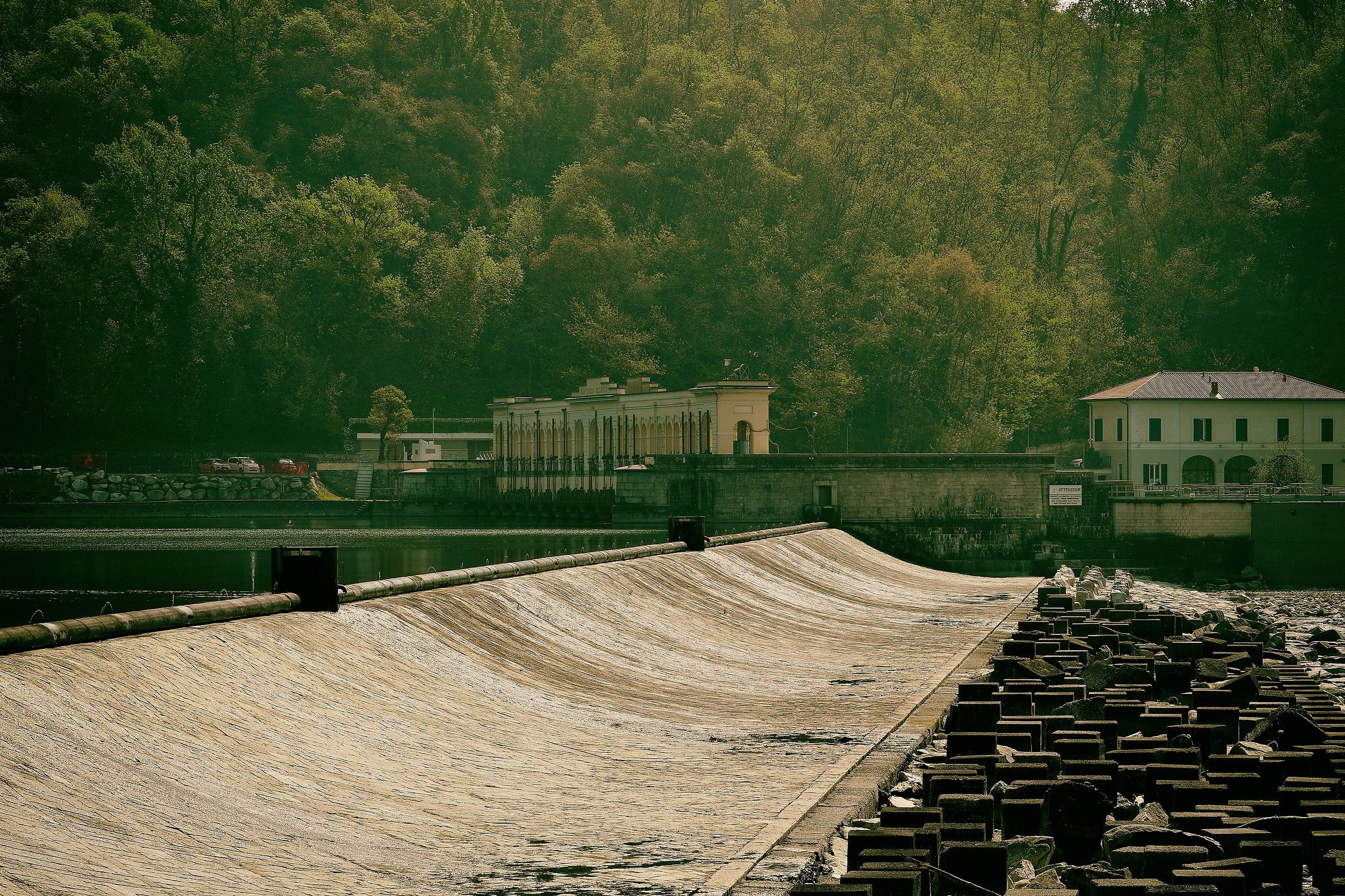 Dam Panperduto - vintage