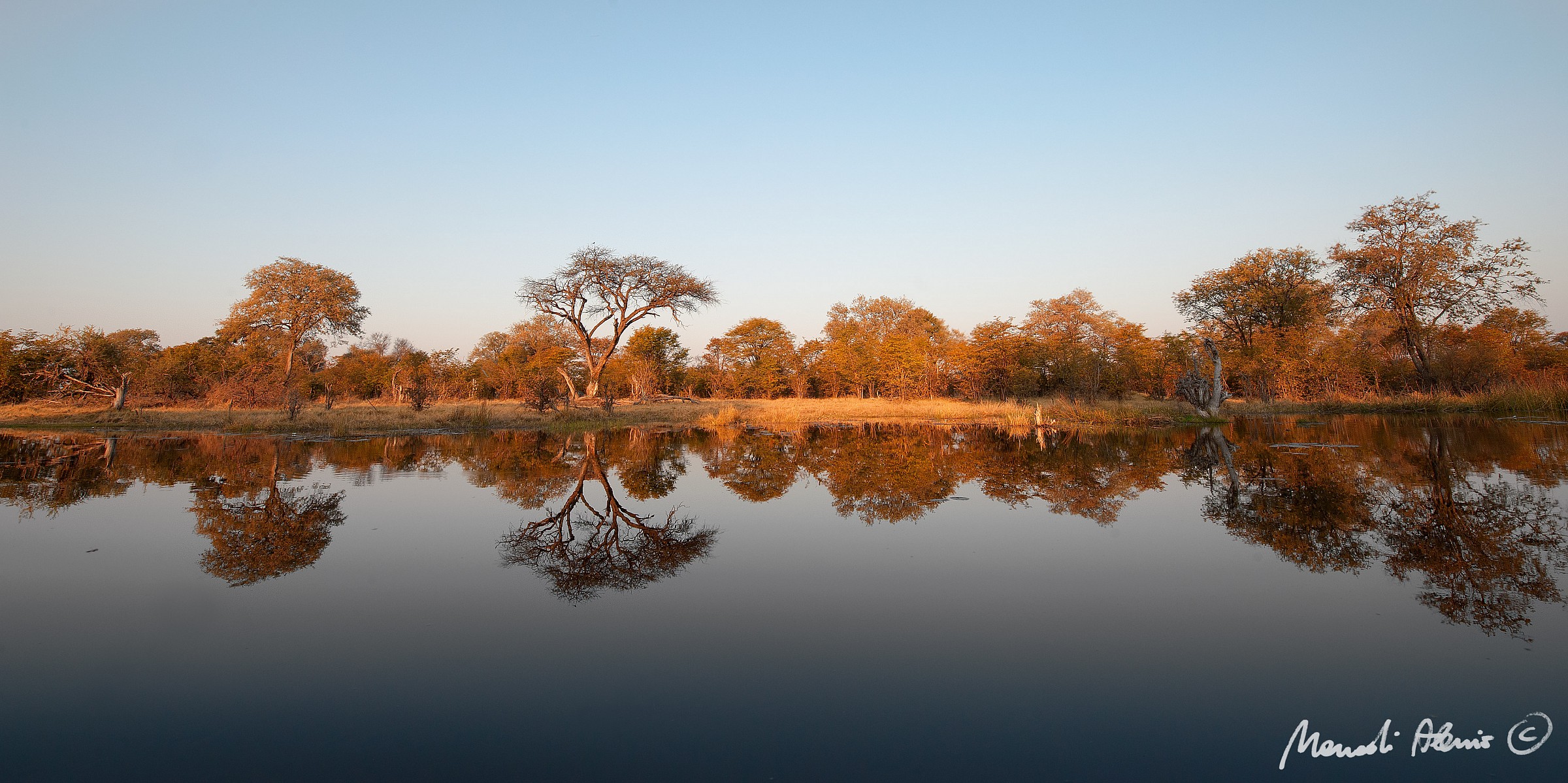 Reflections at sunset