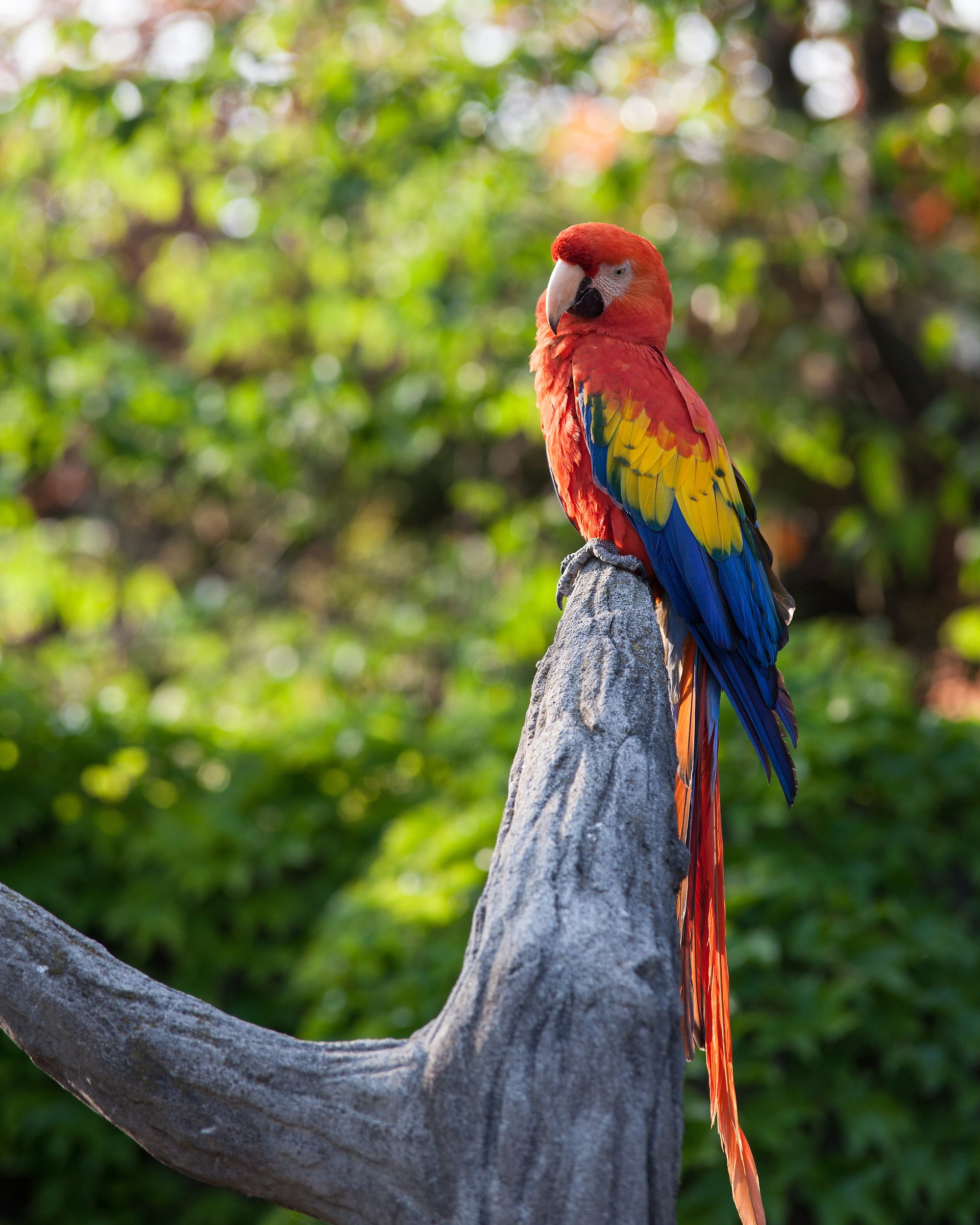 And Jafar where you left it?