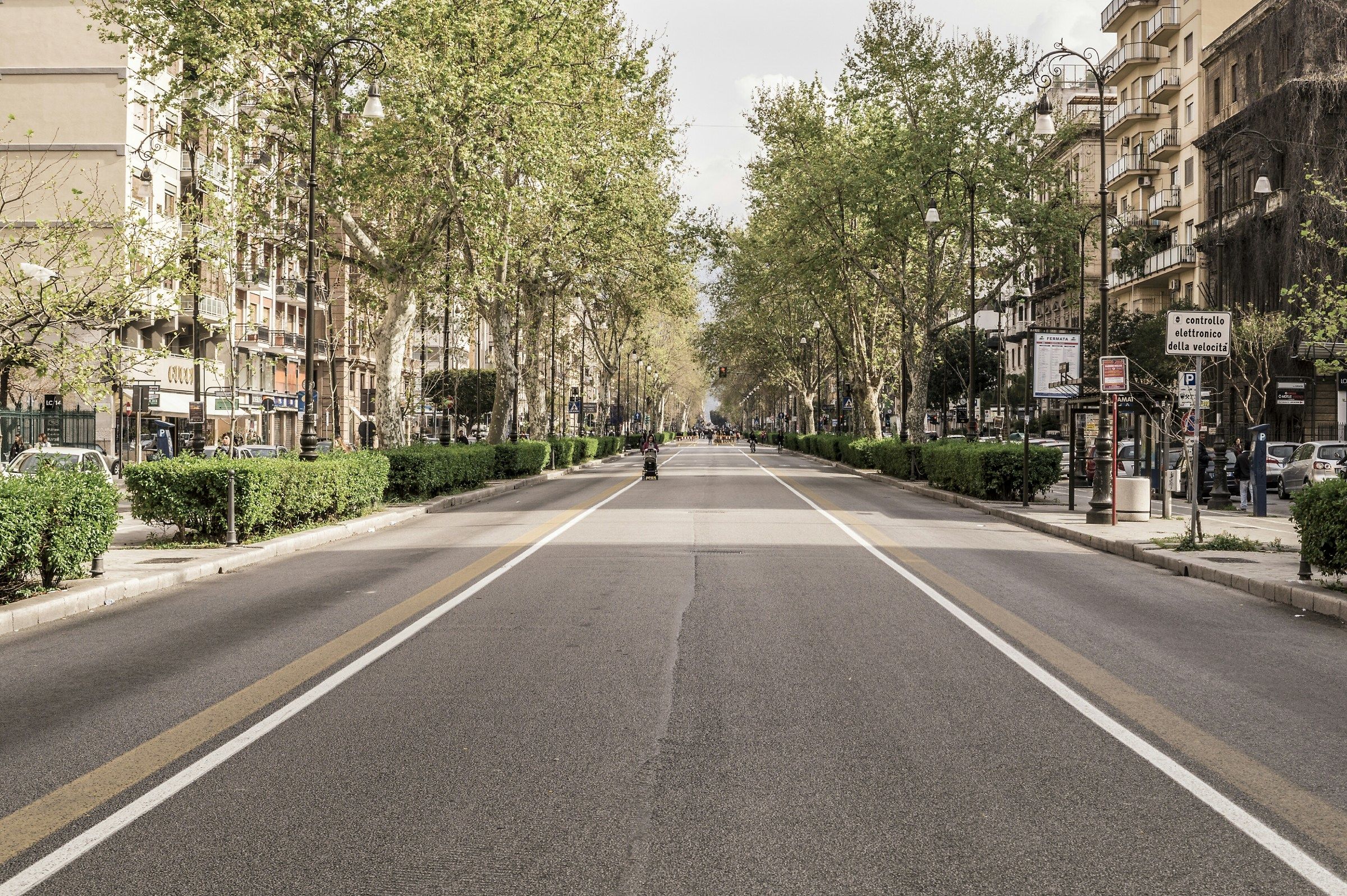 Liberty Street in Palermo