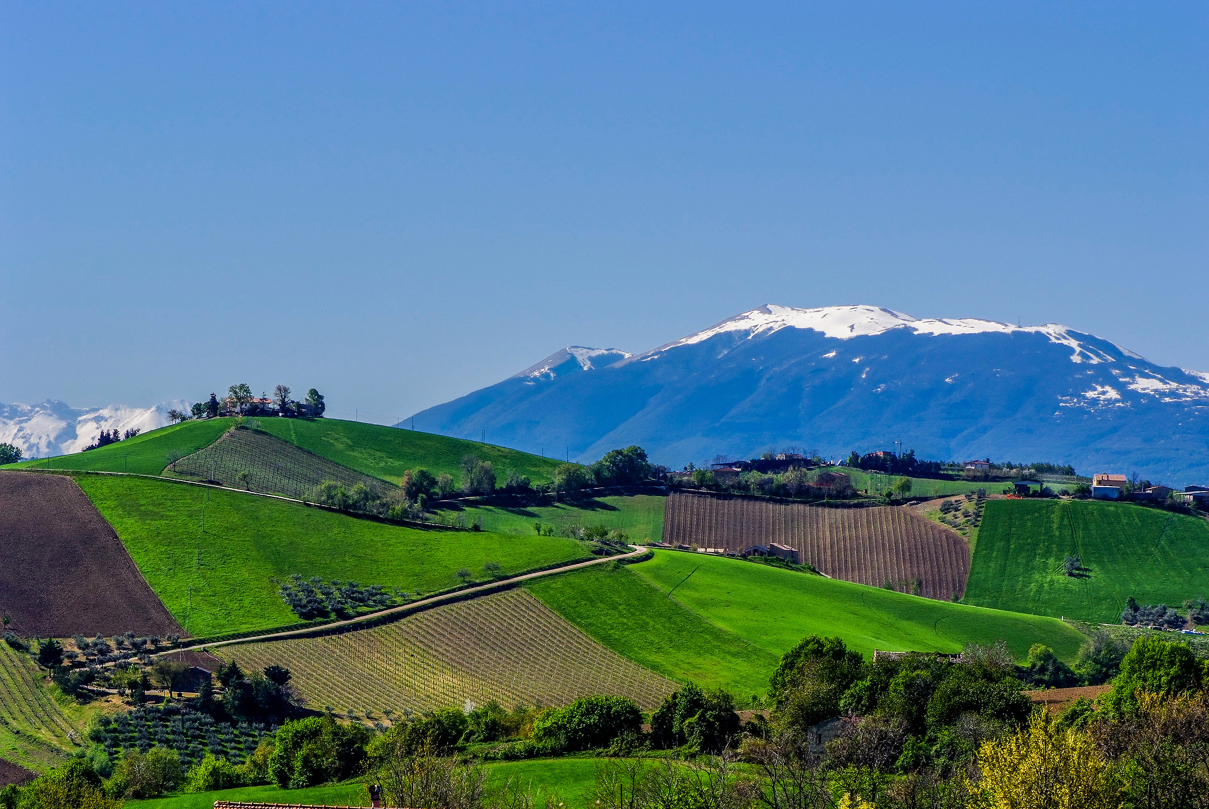 Paesaggi Marchigiani...
