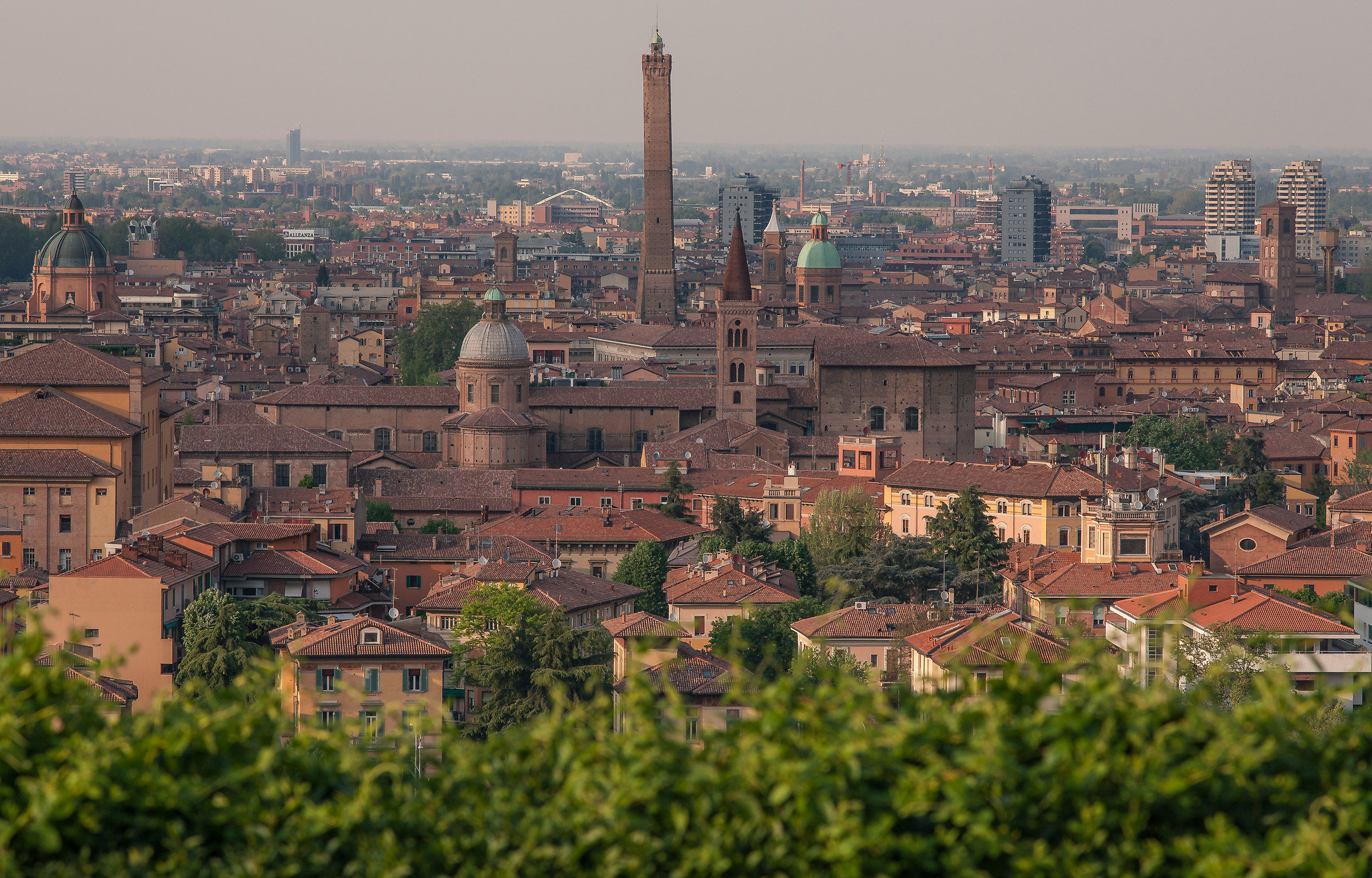 La Bologna