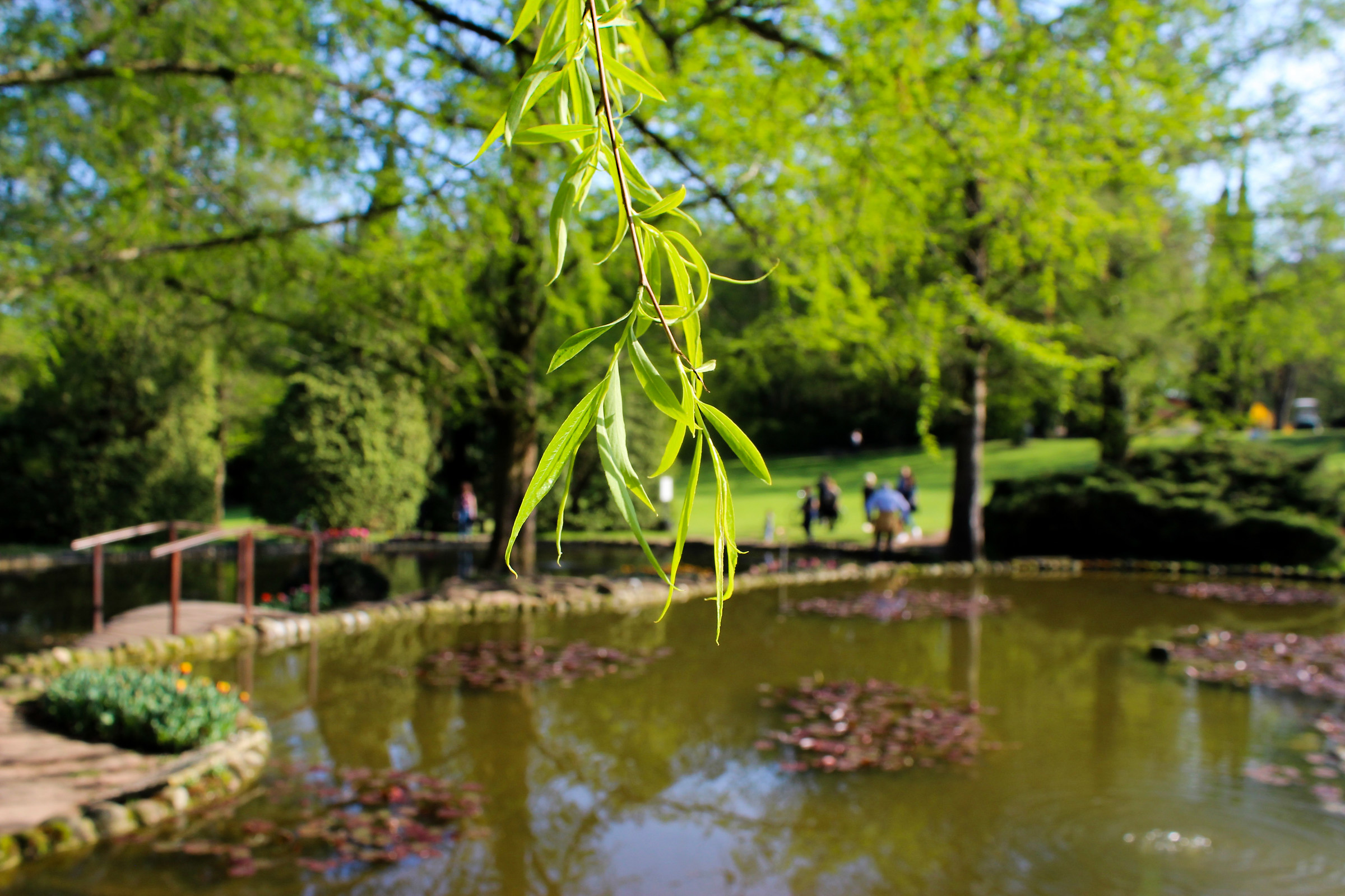 Sigurtà park, lake