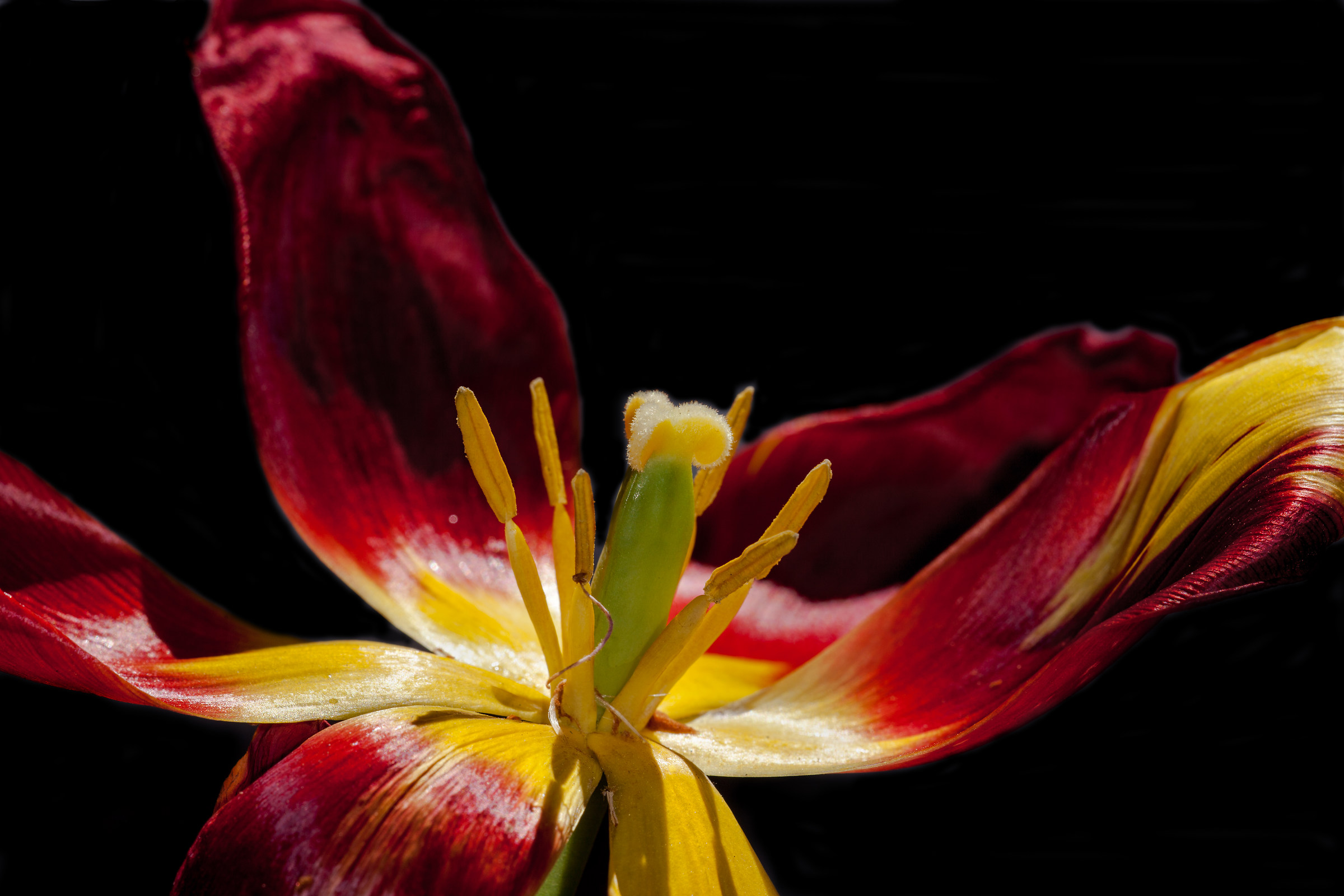 Anche a noi un poco di spazio