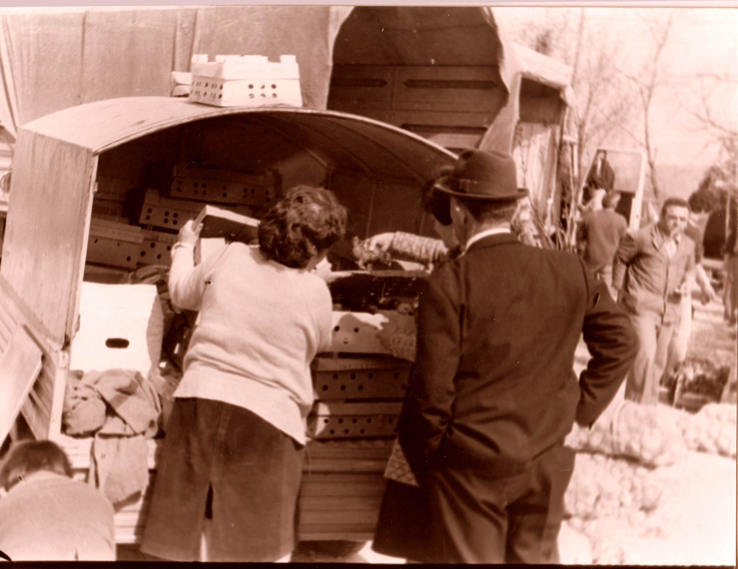 Fiera...acquisto di pulcini