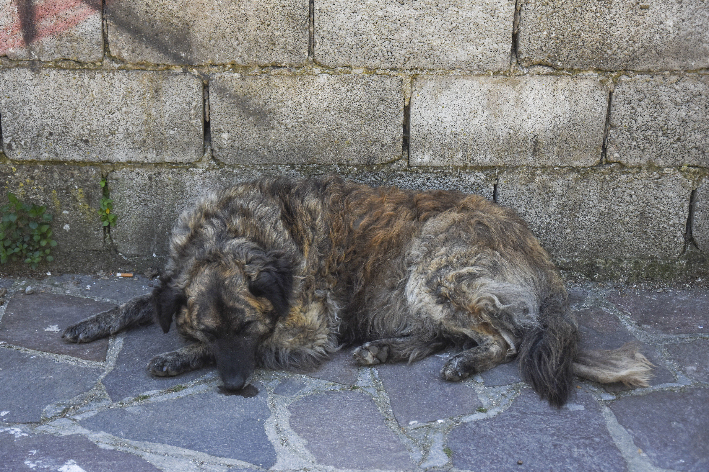 livello mimetizzazione pro