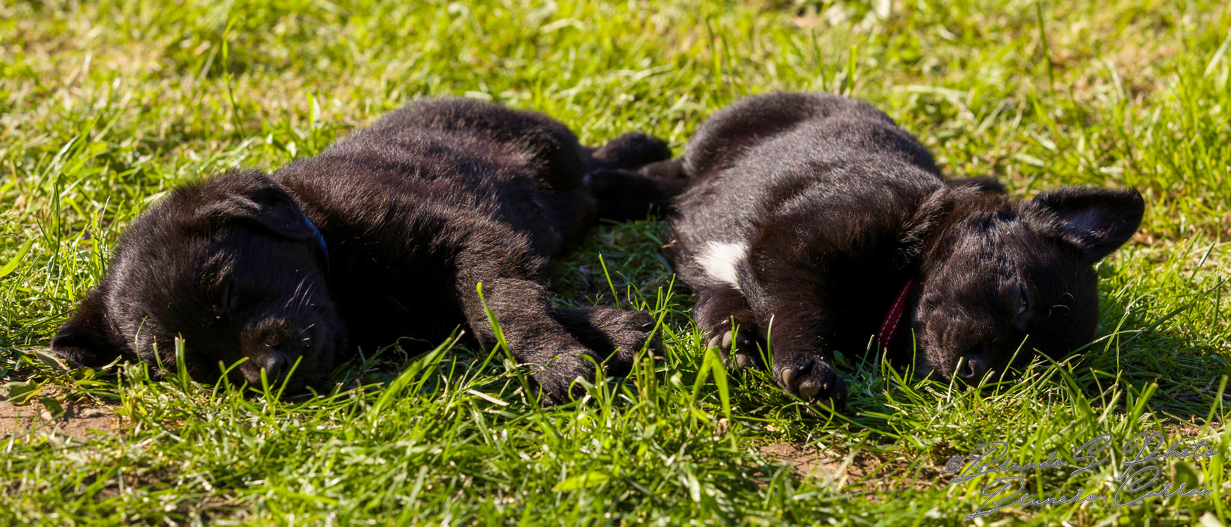 the rest of the young warriors!