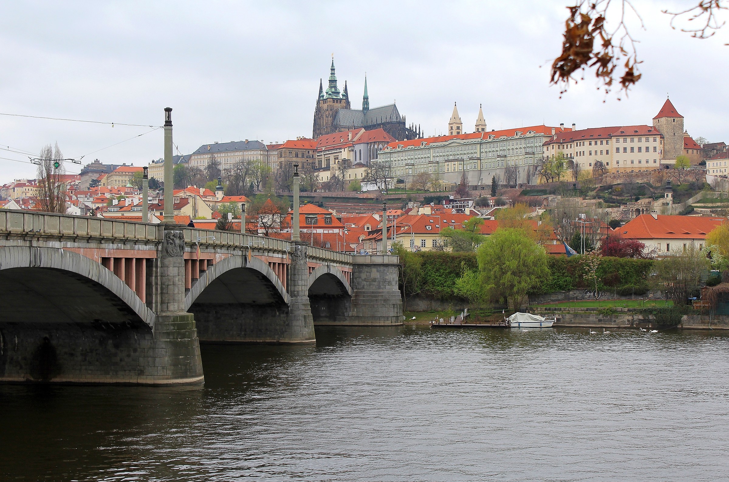 Where is the King ??