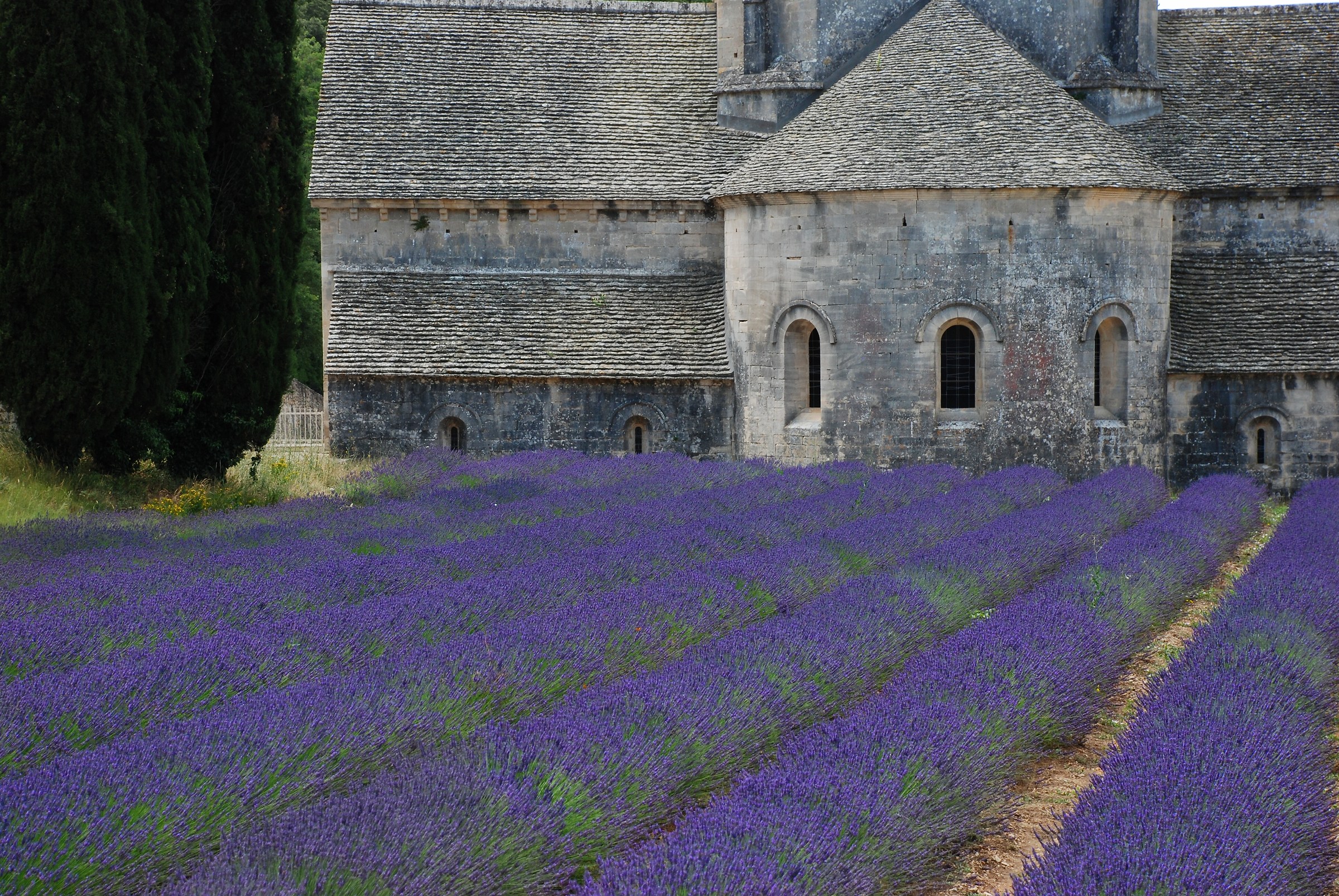 Provence - Abbaye de Sénanque