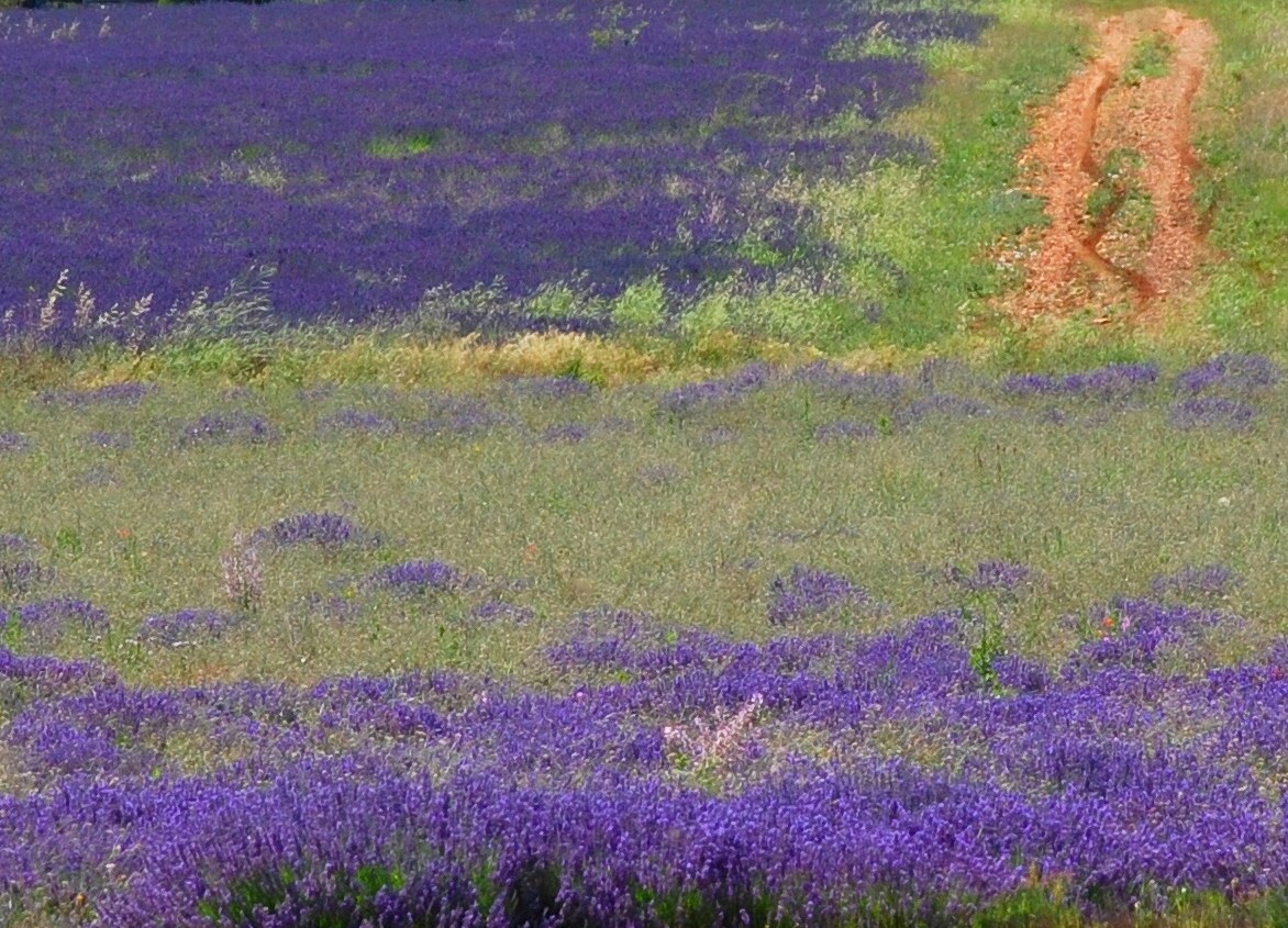 Provence