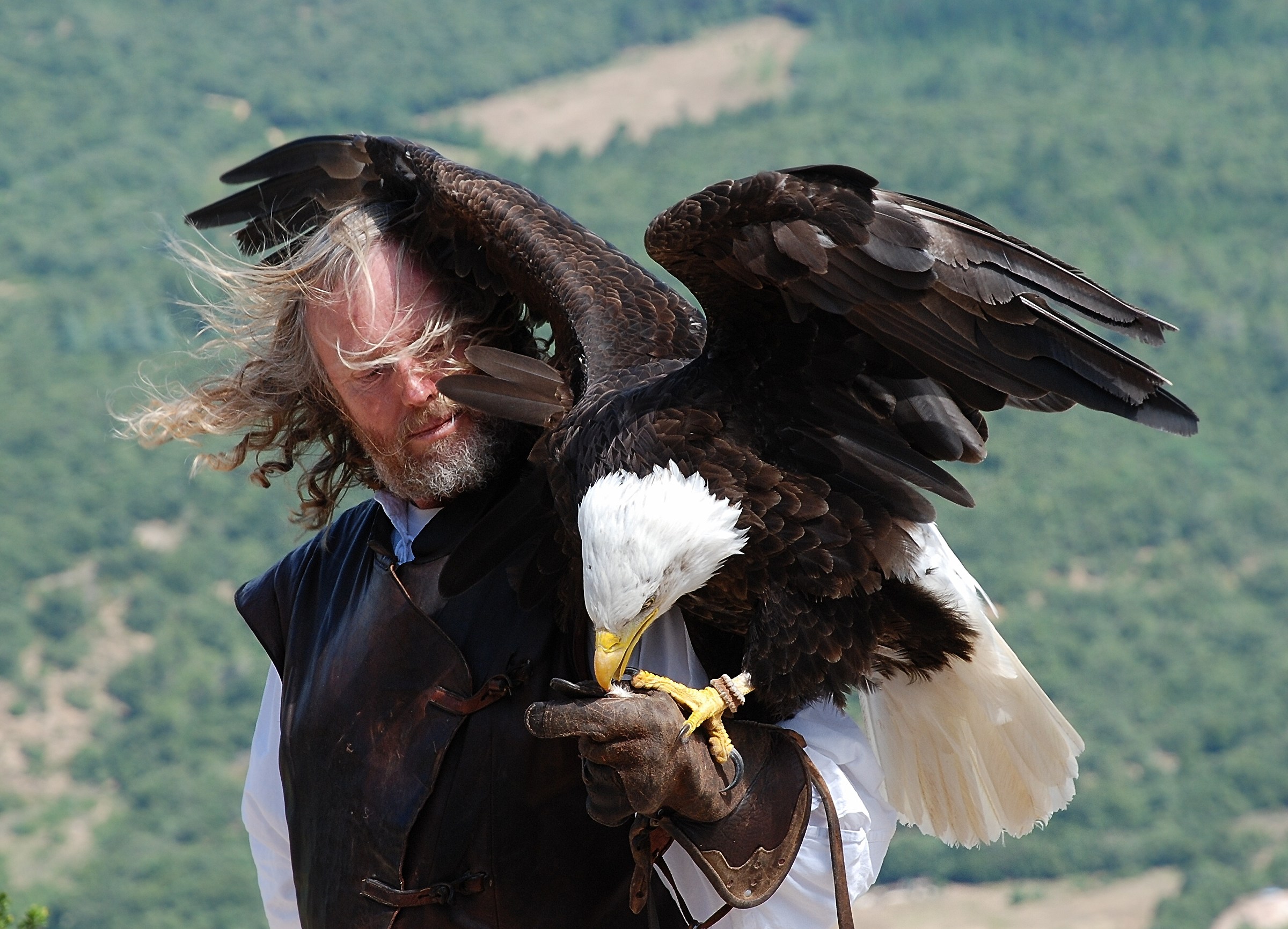 LAGUEDOC-roussillon - Chateau dePeyrepertuse
