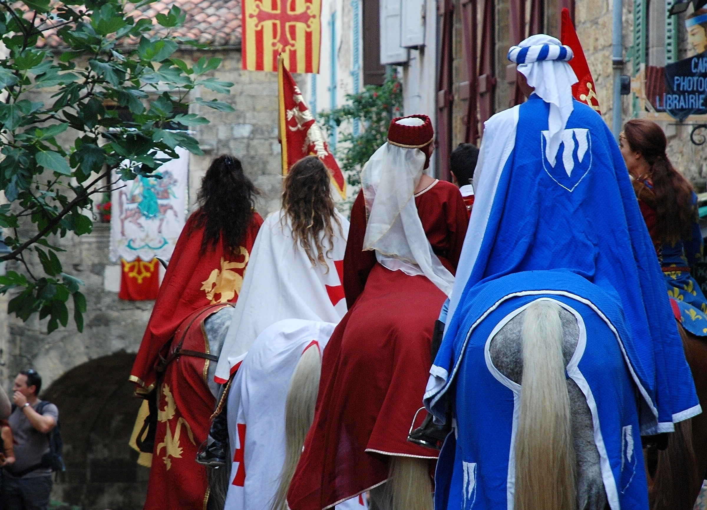LAGUEDOC-roussillon - Cordes-sur-ciel