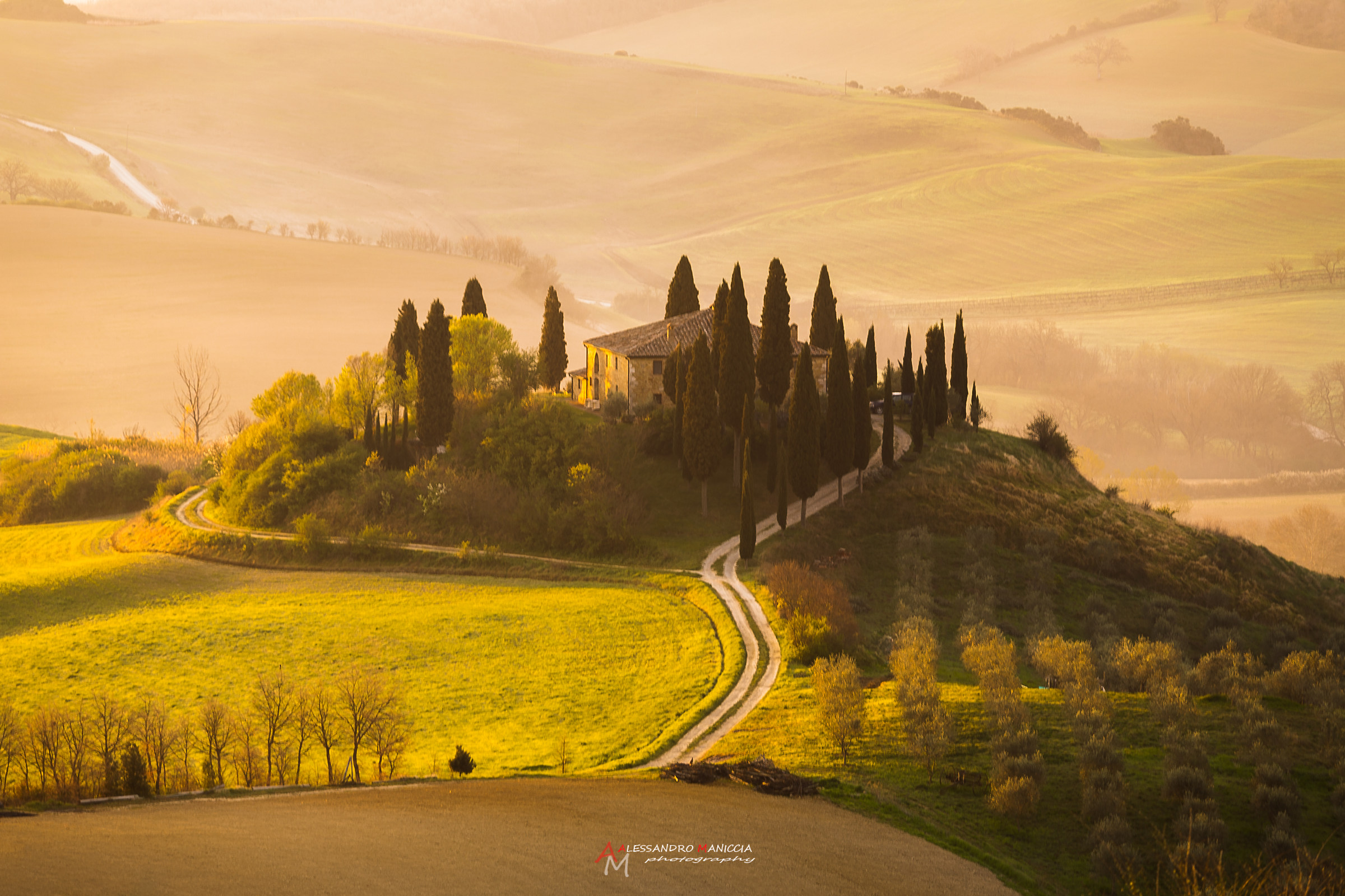 Golden Dawn - Belvedere